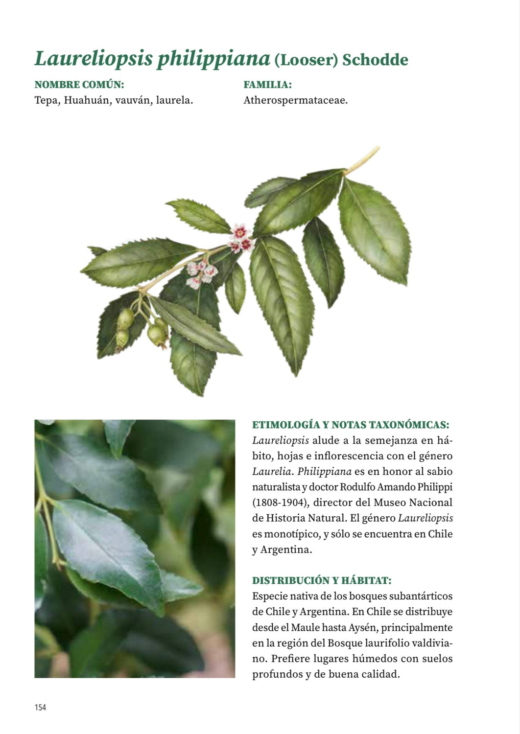 Pack Libro tapa dura + Curso Árboles de Chile