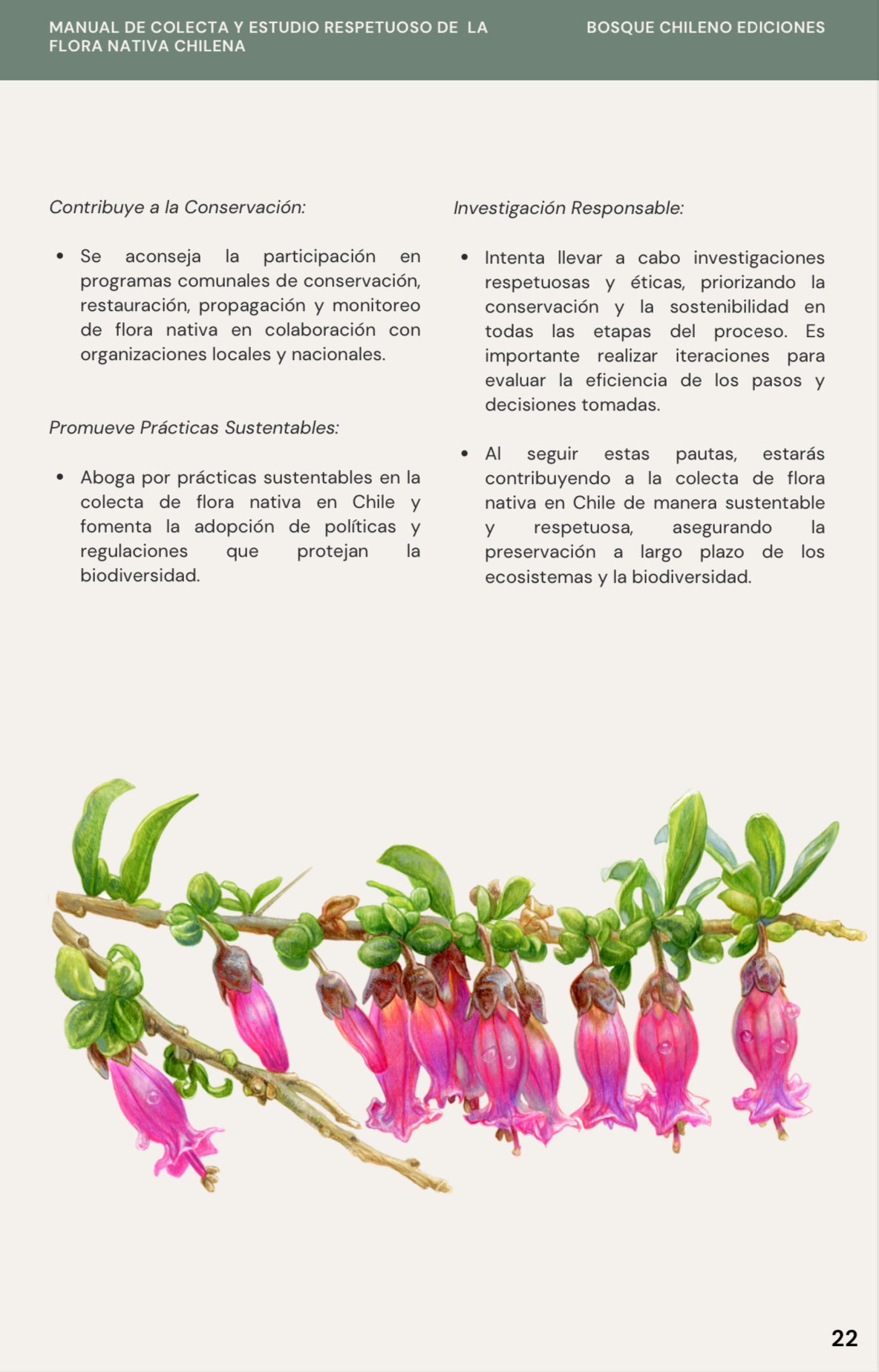 Ebook - Manual de campo para el estudio respetuoso de la flora nativa chilena
