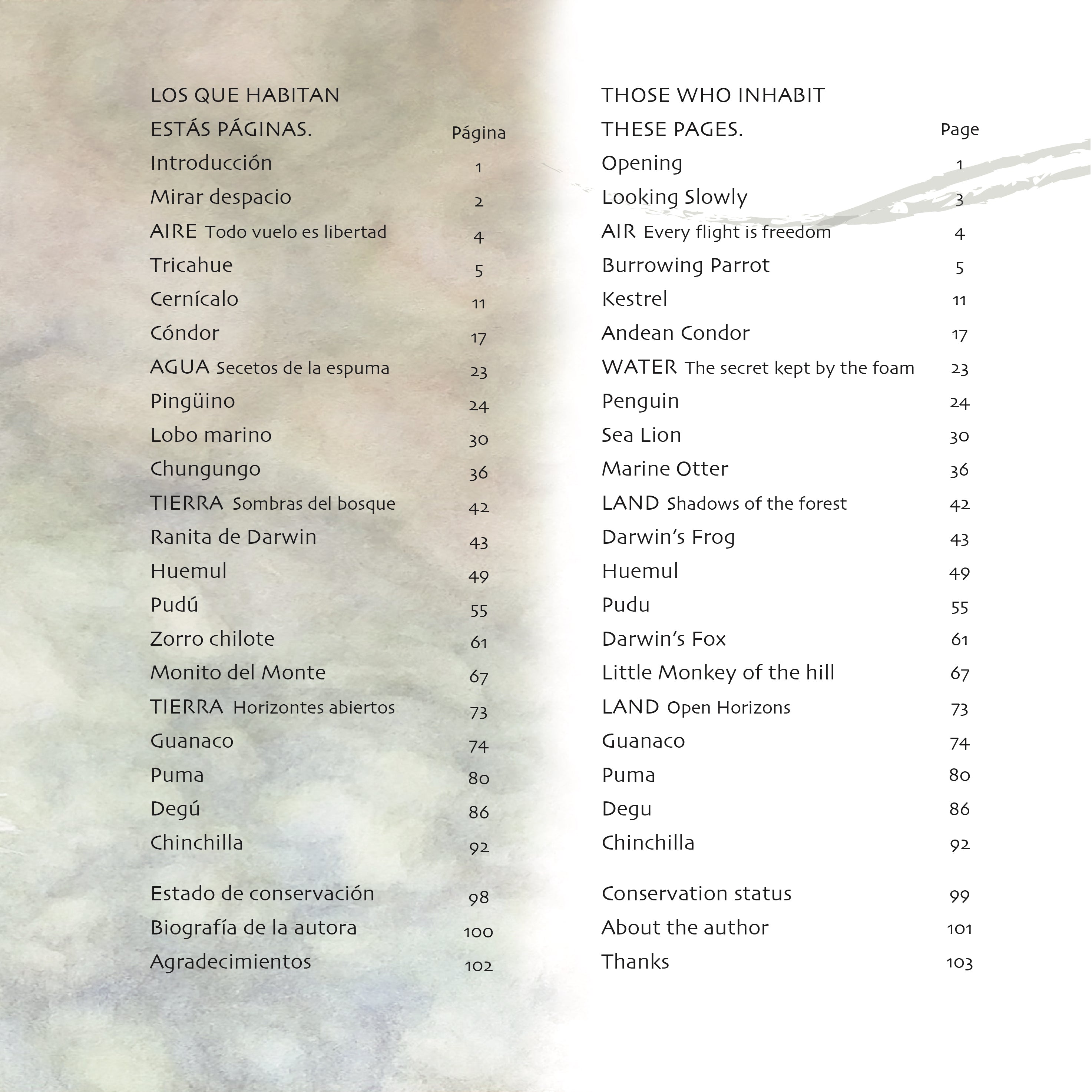 Fauna Chilena - 15 acuarelas