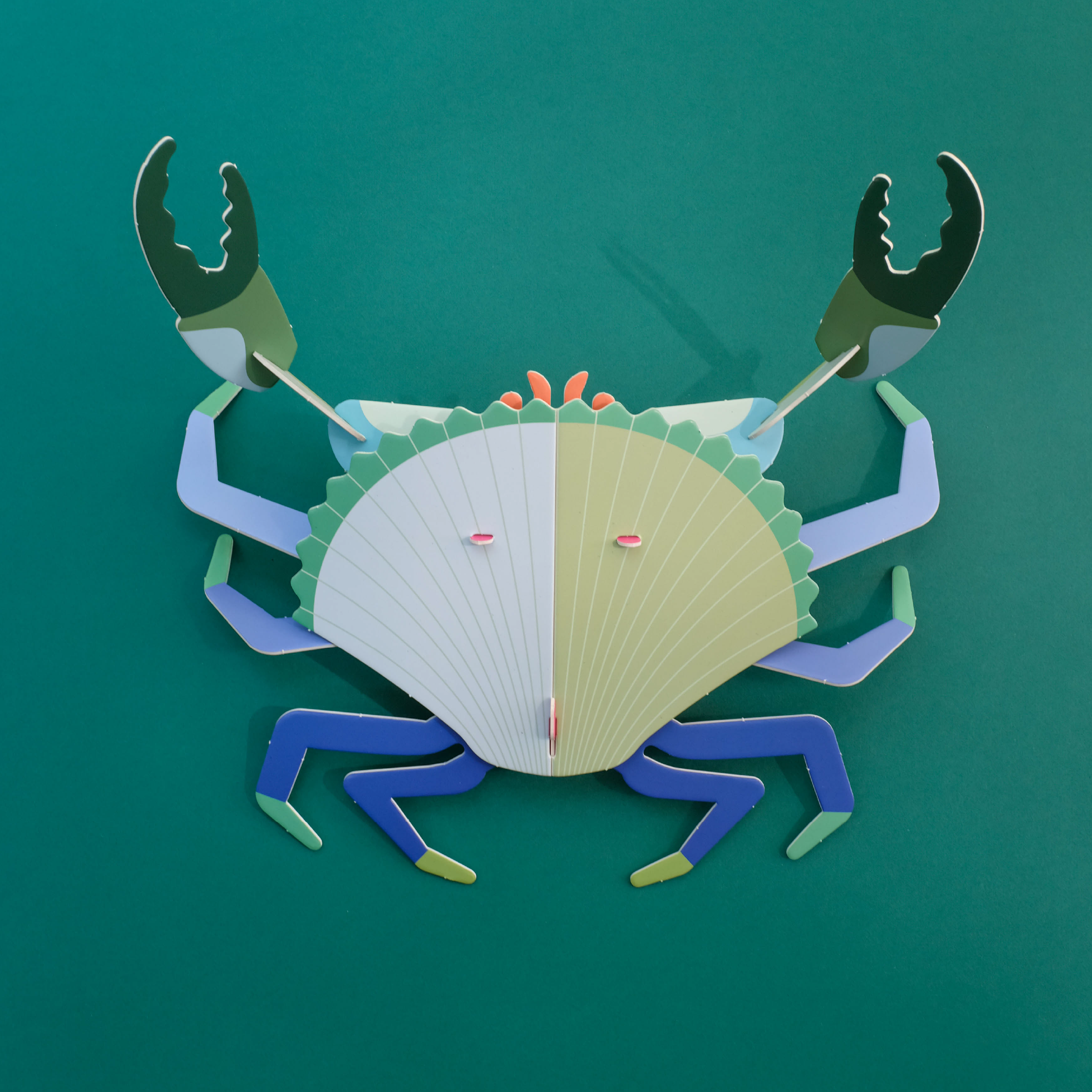 Armable Jaiba marmola - Alga