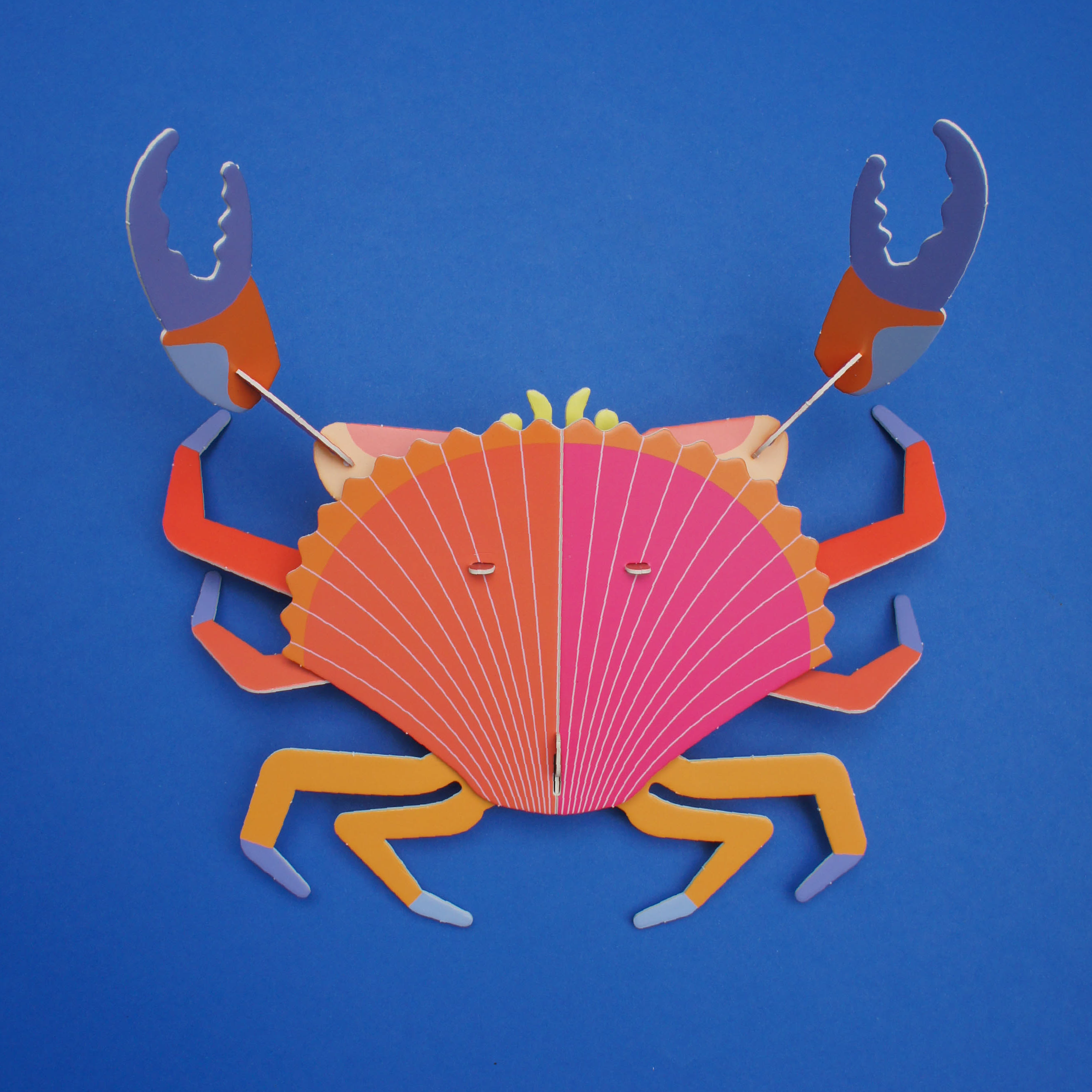 Armable Jaiba marmola - Arena