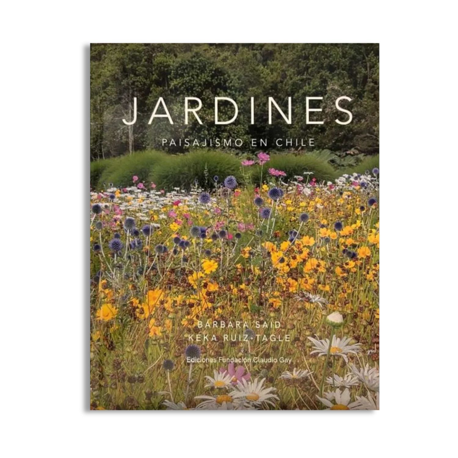 Jardines Paisajismo En Chile