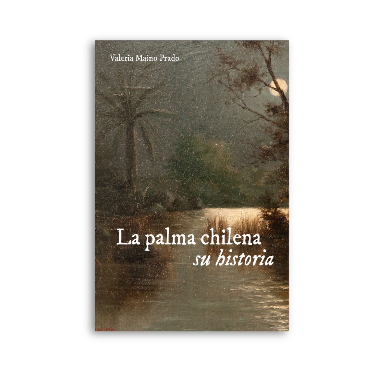 La palma chilena, su historia