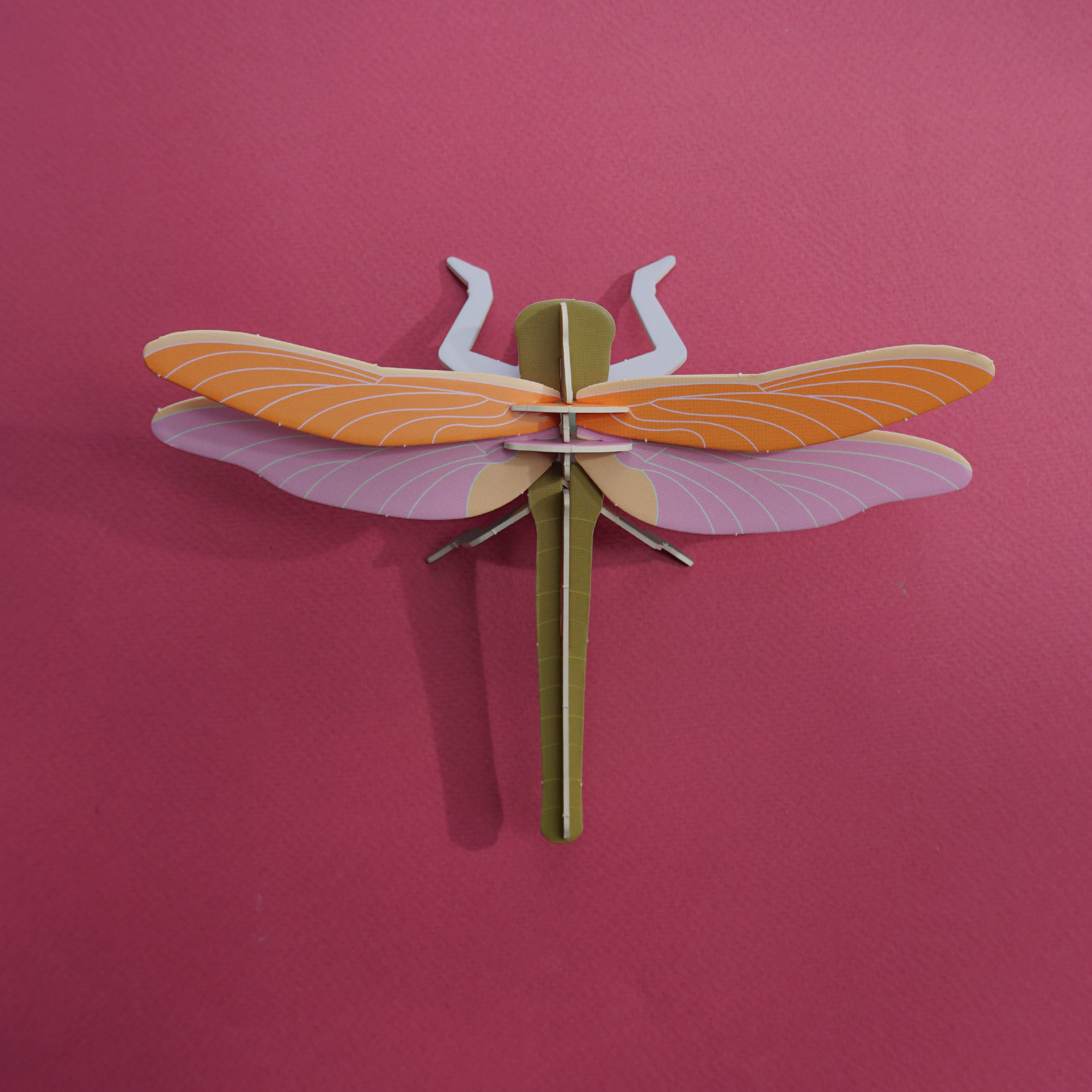 Armable Libelula - Amanecer