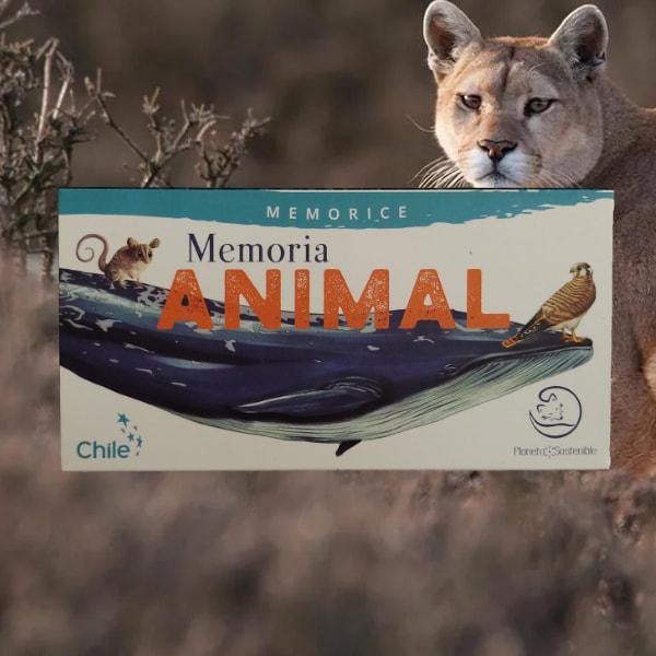 Memorice Memoria Animal