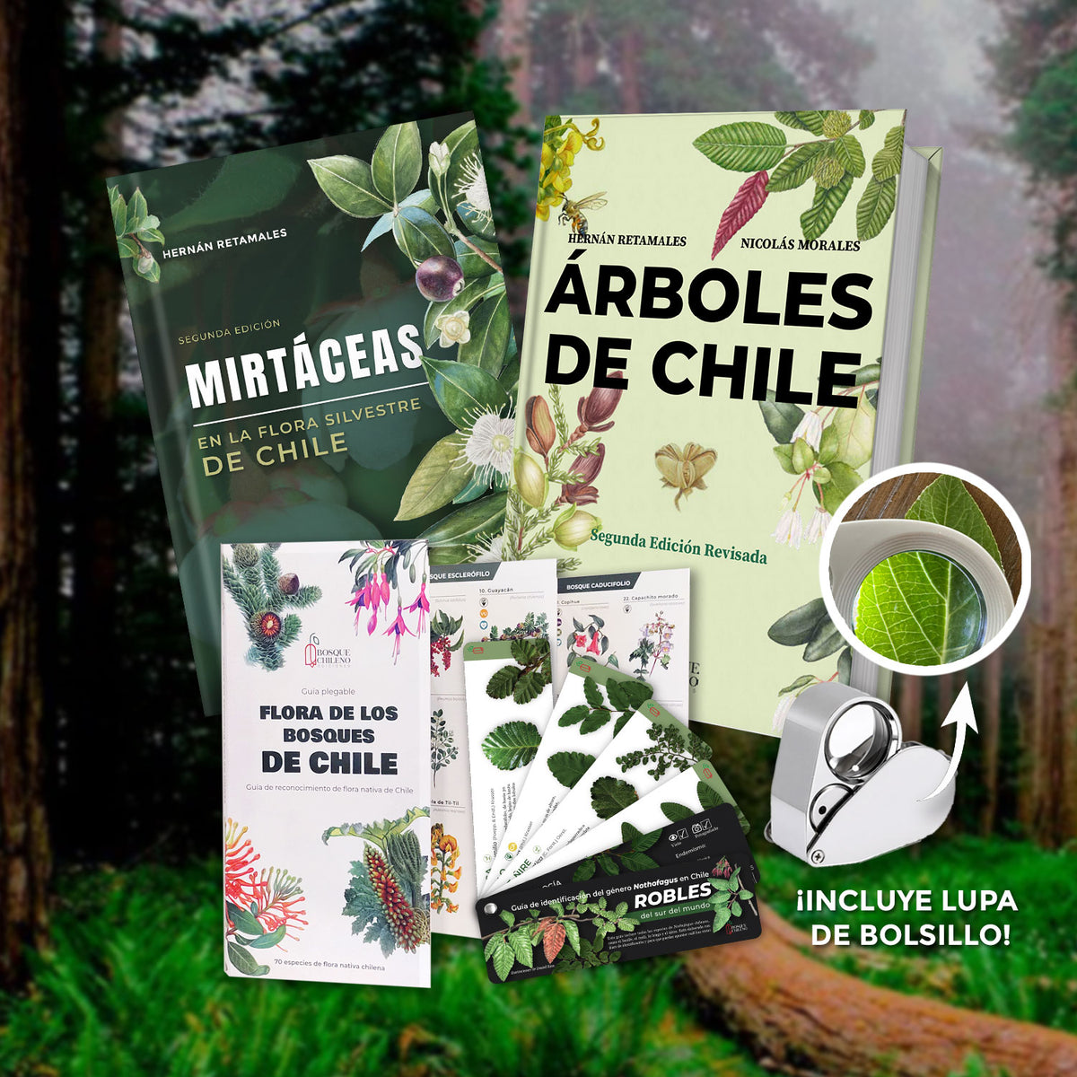 Pack Observando el Bosque Chileno