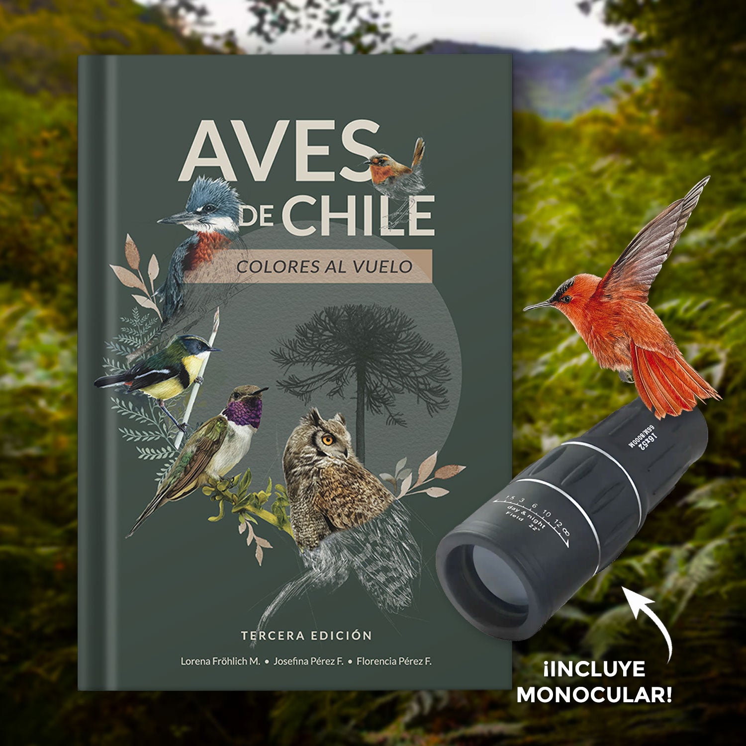 Pack observando las aves chilenas