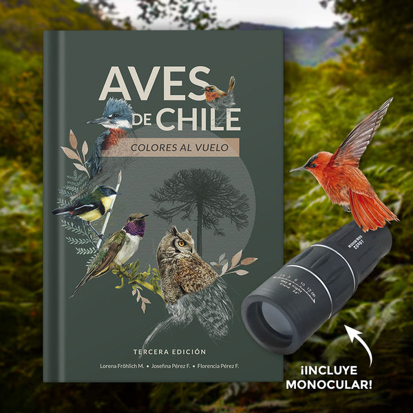 Pack Observando las aves chilenas