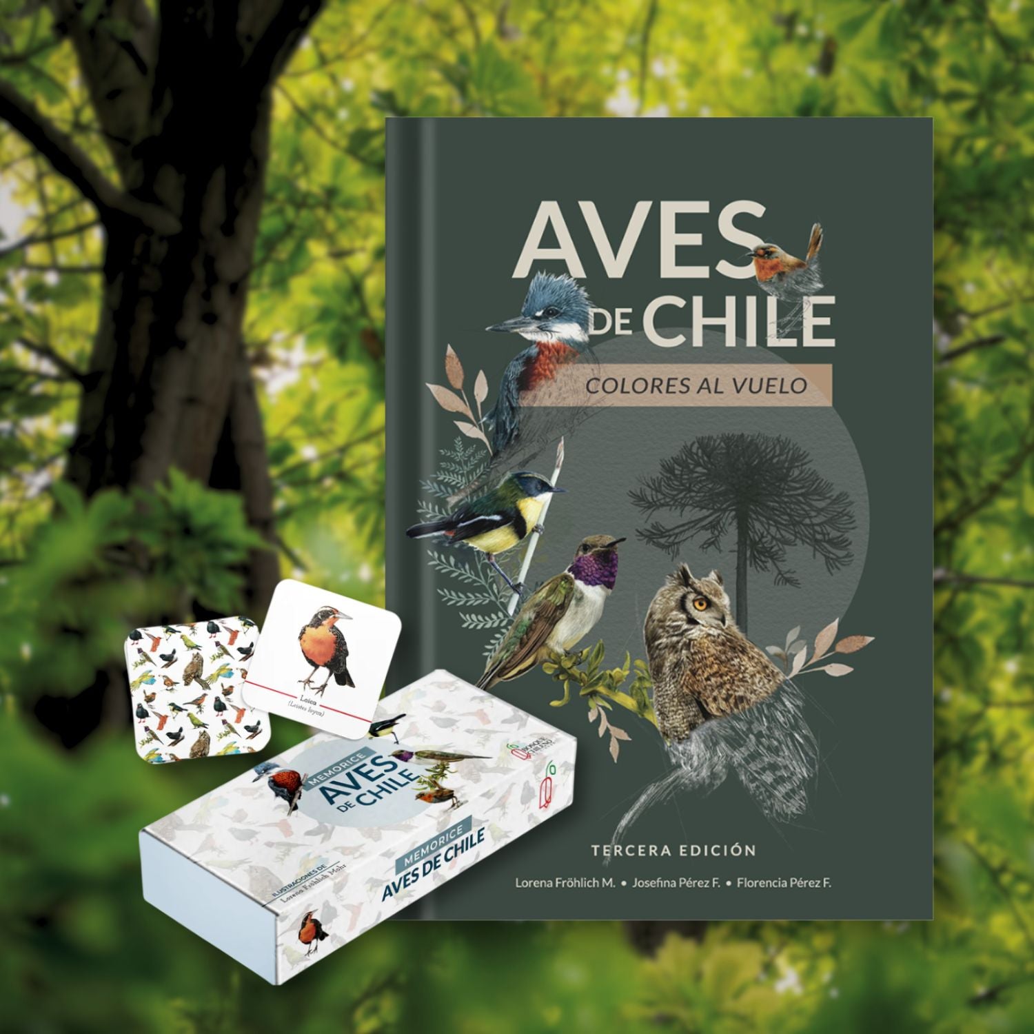 Pack Avifauna Chilena