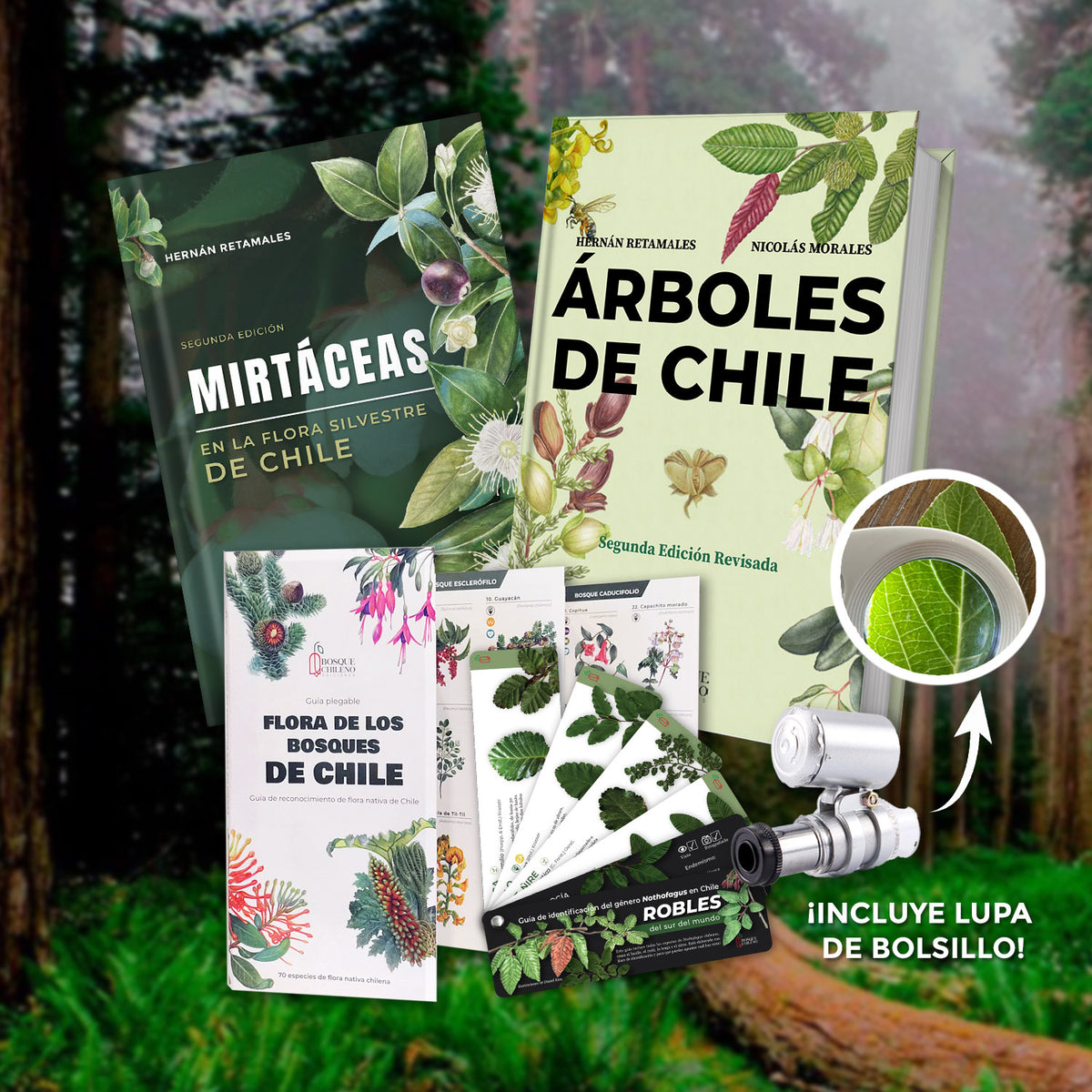 Pack Observando el Bosque Chileno