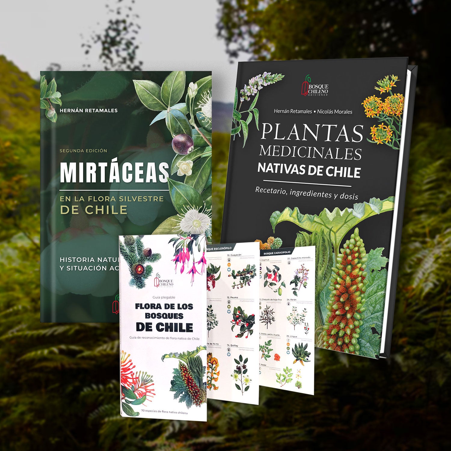 Pack Bosque Medicinal