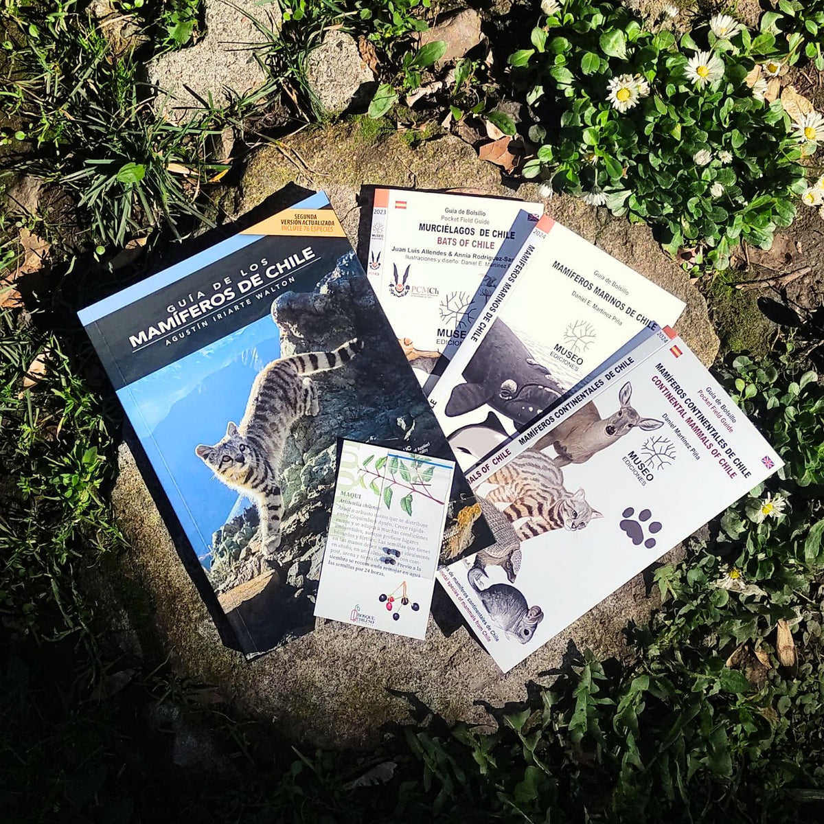 Pack Protejamos la Fauna