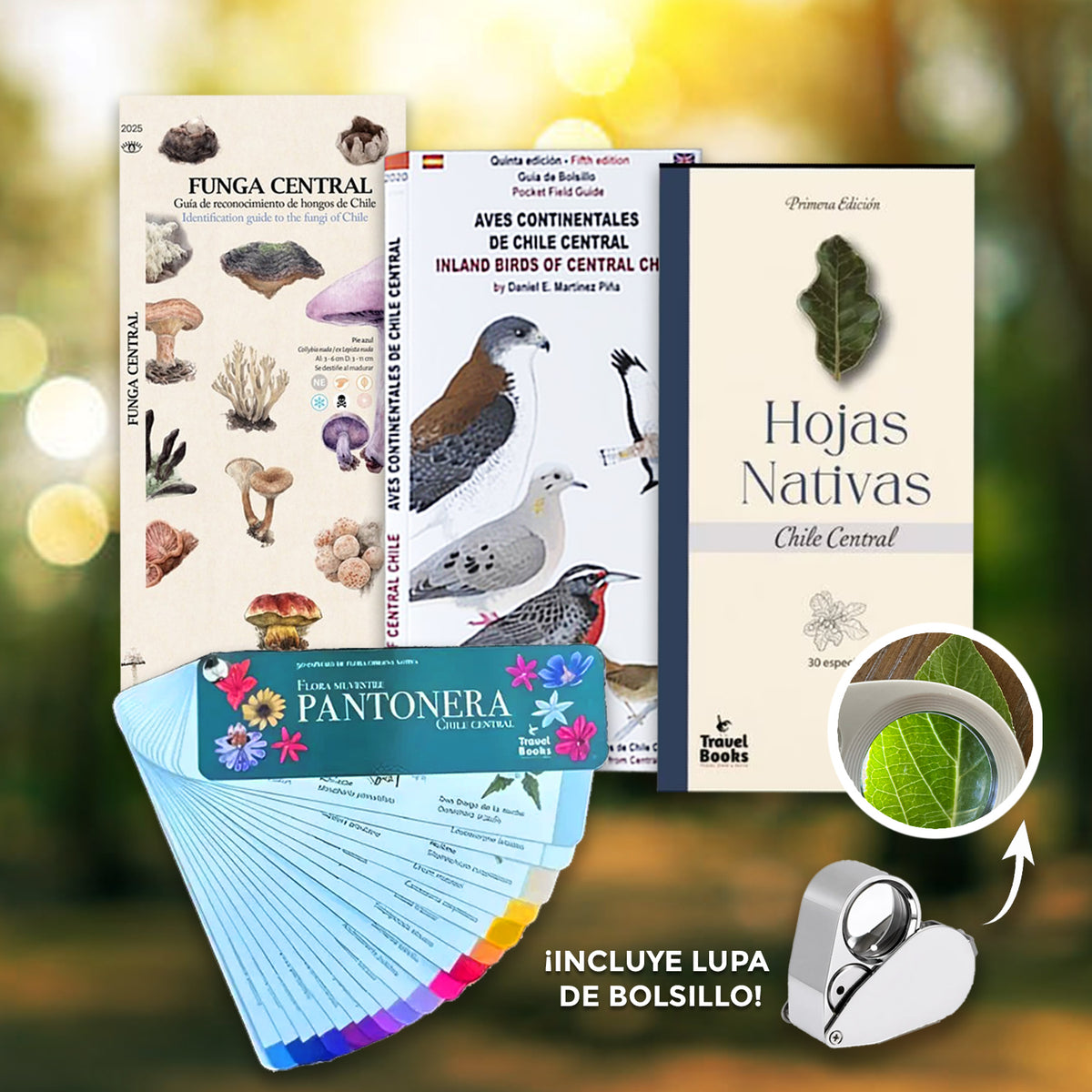 Pack de bolsillo Naturaleza zona central
