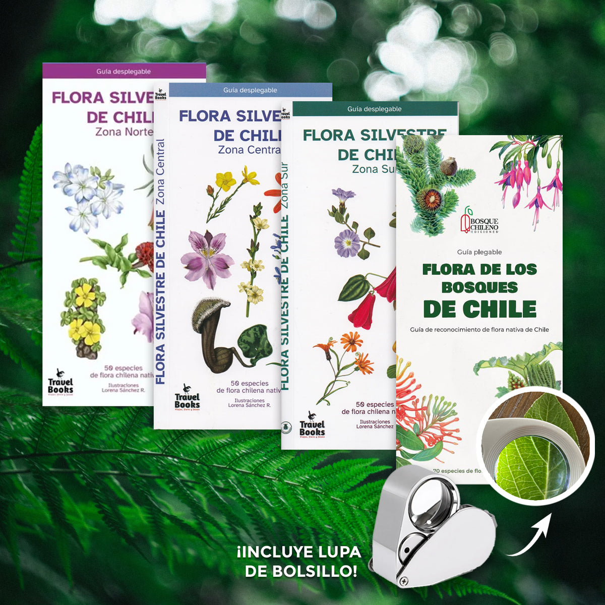 Pack de terreno Flora nativa de Chile