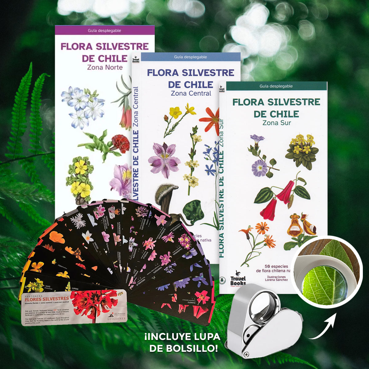 Pack de terreno Flora nativa de Chile