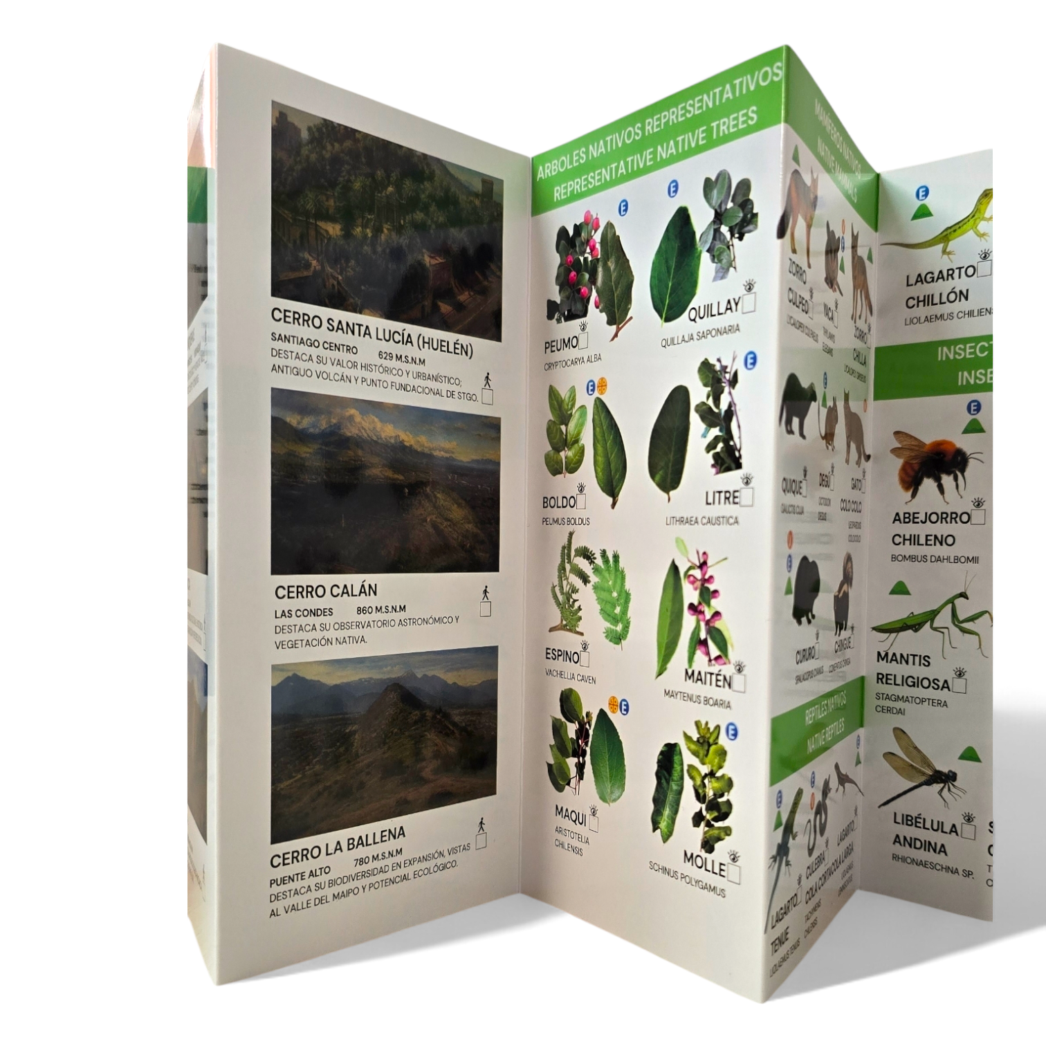 Guia de bolsillo - Aves y bosques de santiago