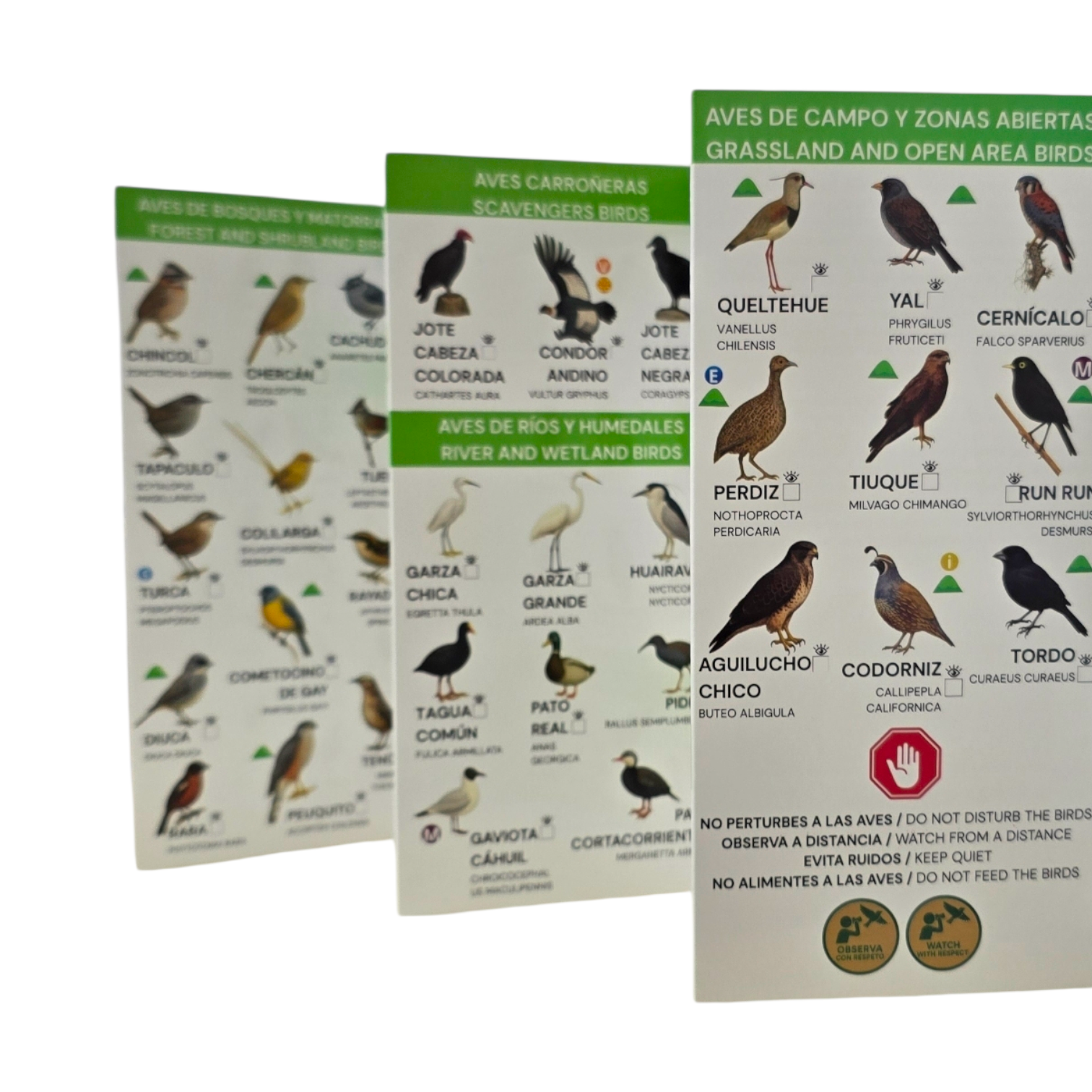 Guia de bolsillo - Aves y bosques de santiago