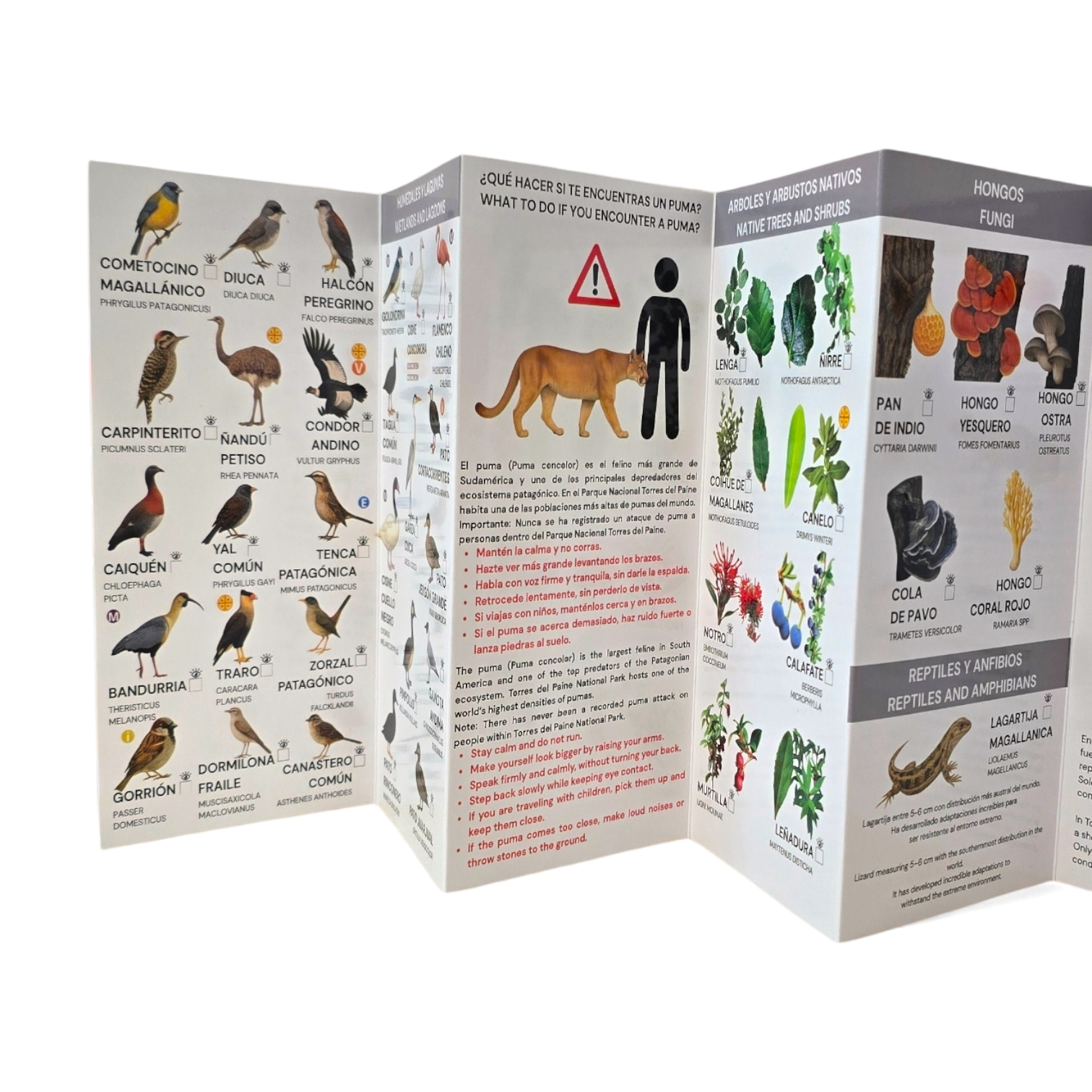 Guia de bolsillo - Torres del Paine