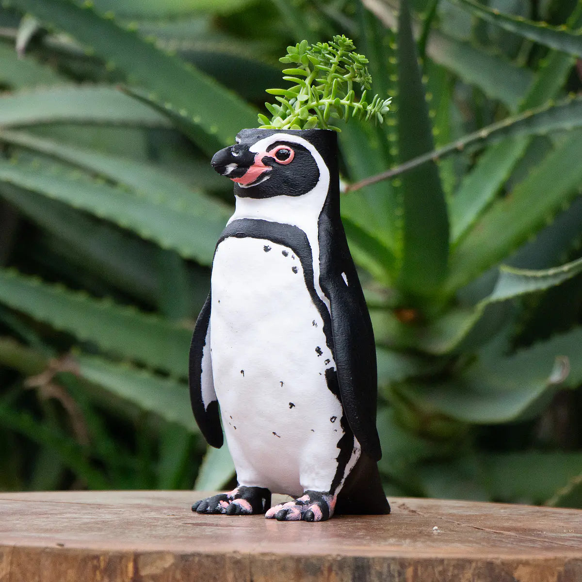Macetero Fauna Chilena 3D