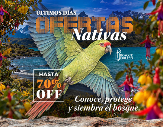 Conoce, protege y siembra el bosque