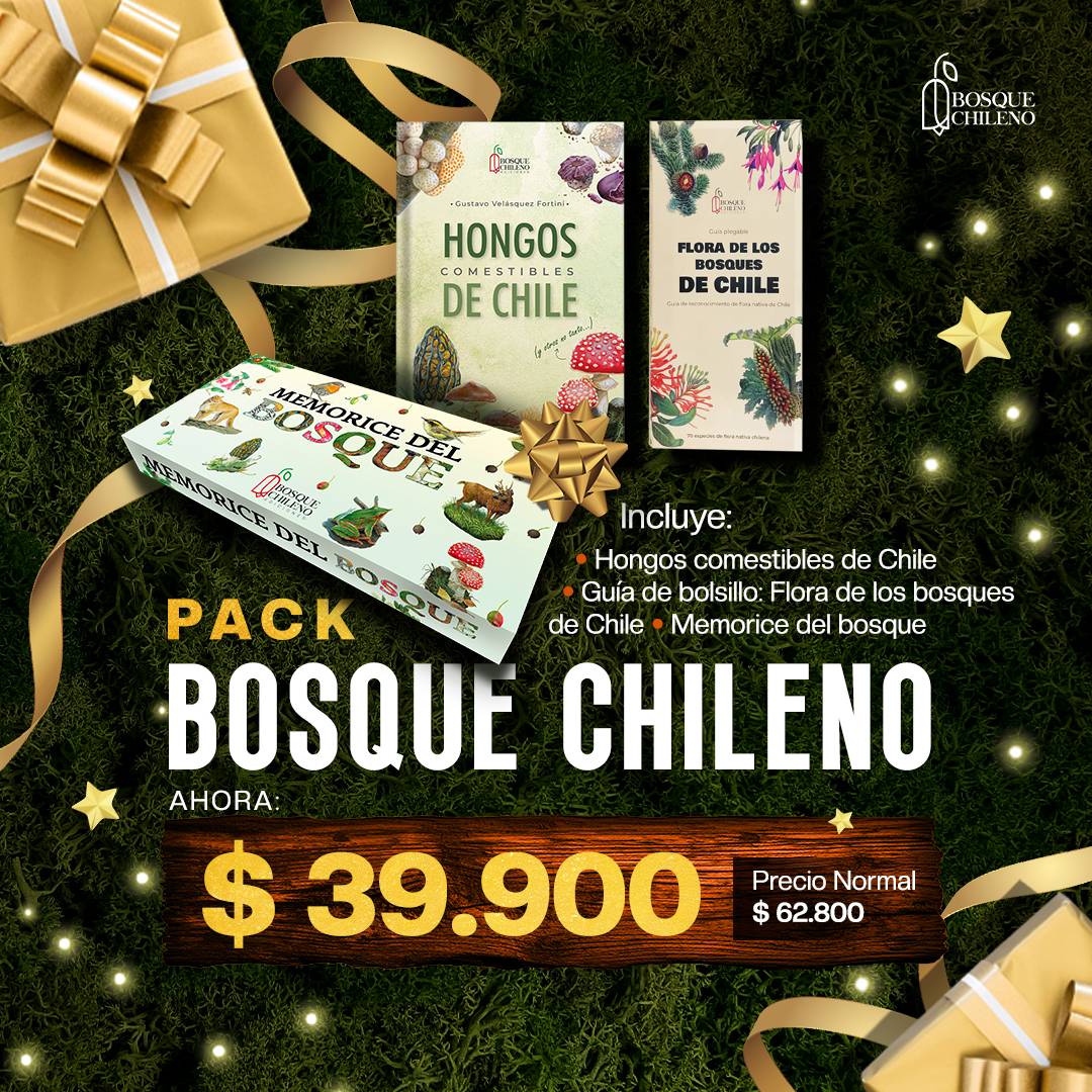 Pack Bosque Chileno
