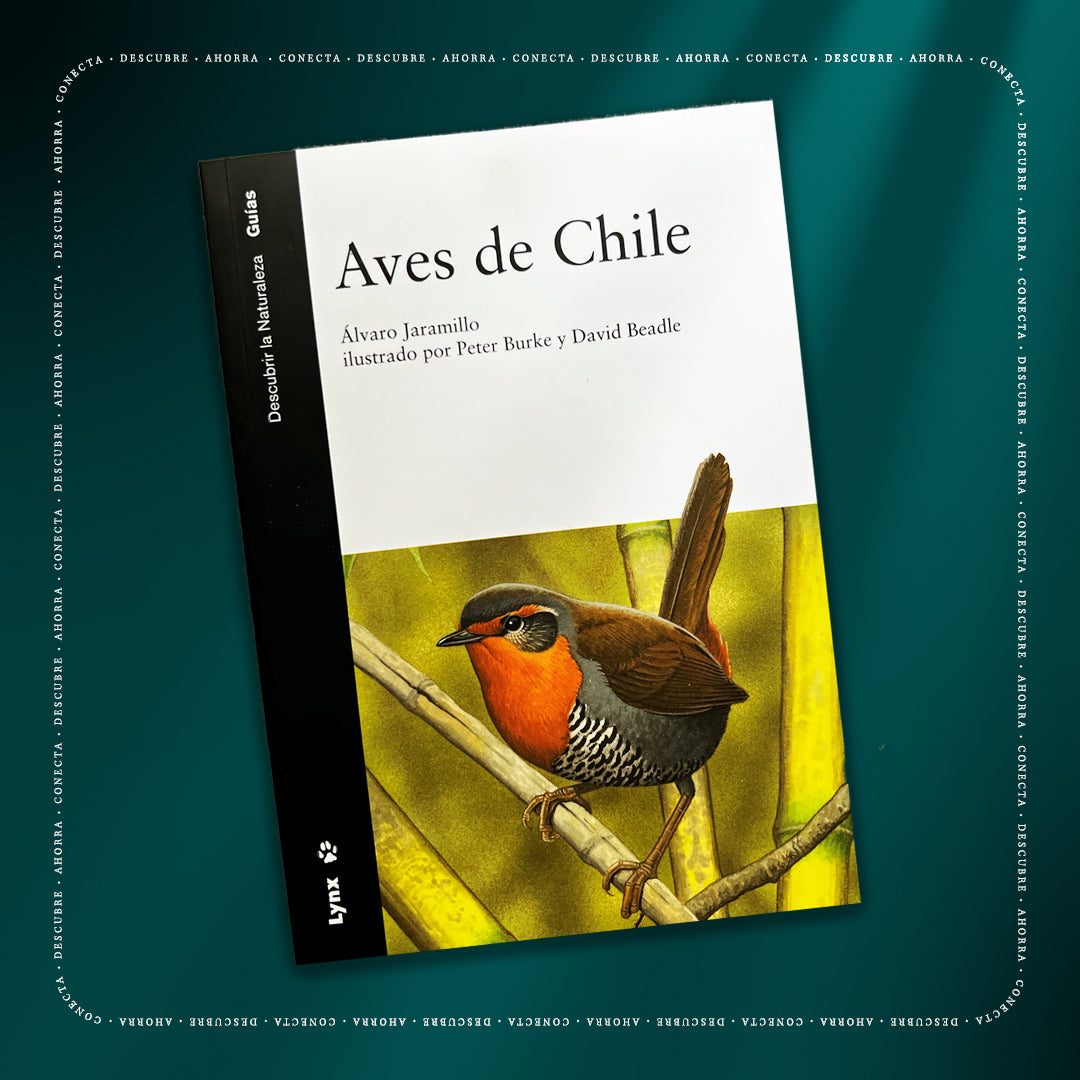 Libro Aves de Chile - Álvaro Jaramillo