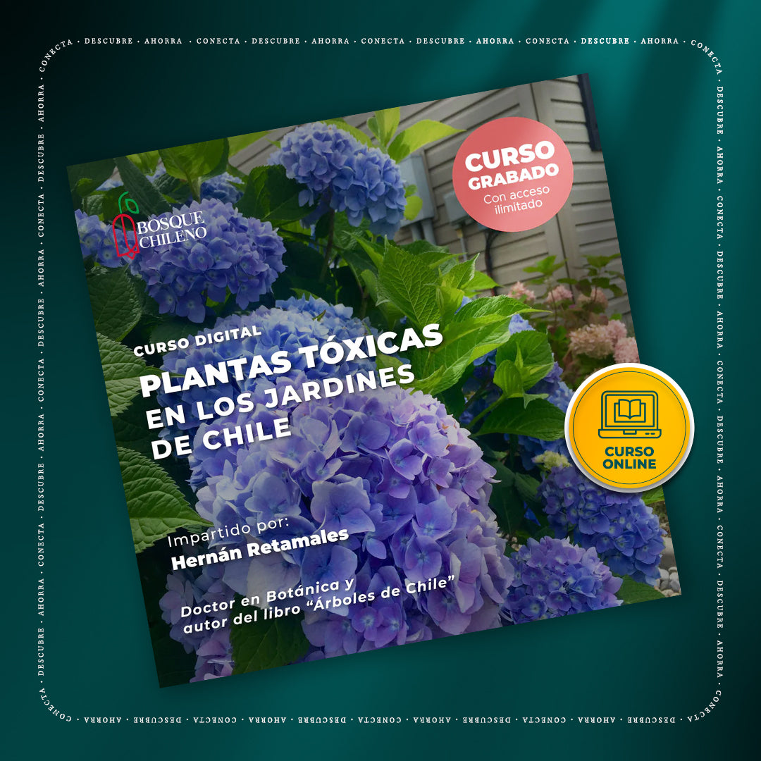 Curso digital: Plantas tóxicas en los jardines de Chile