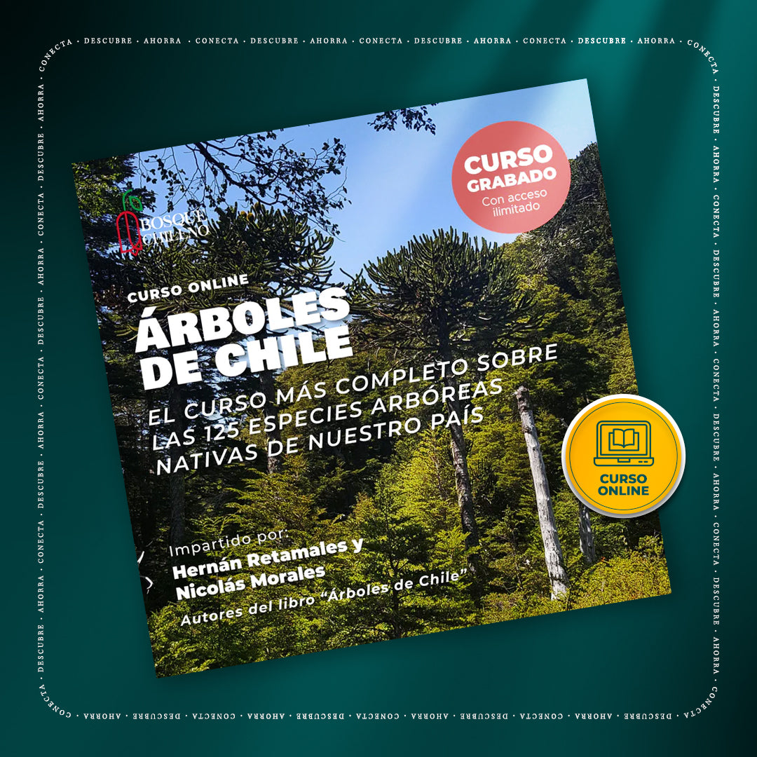 Curso digital: Árboles de Chile