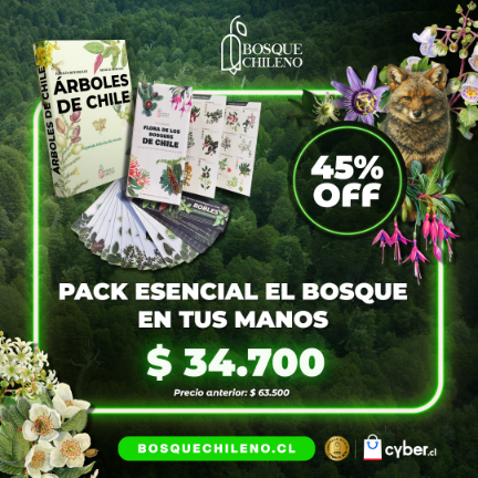 Post - Cyber Pack Esencial El Bosque en tus manos - 1080 X 1080 px.png__PID:bbba01ea-6e42-43ab-846e-29a824fb09b4