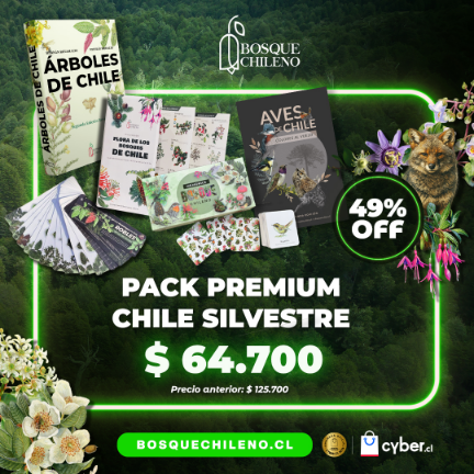 Post - Cyber Pack Premium Chile Silvestre - 1080 X 1080 px.png__PID:ba01ea6e-42a3-4b84-ae29-a824fb09b409