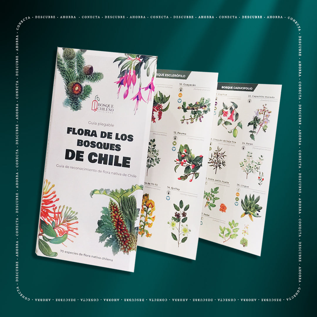 Guía de bolsillo - Flora de los bosques de Chile