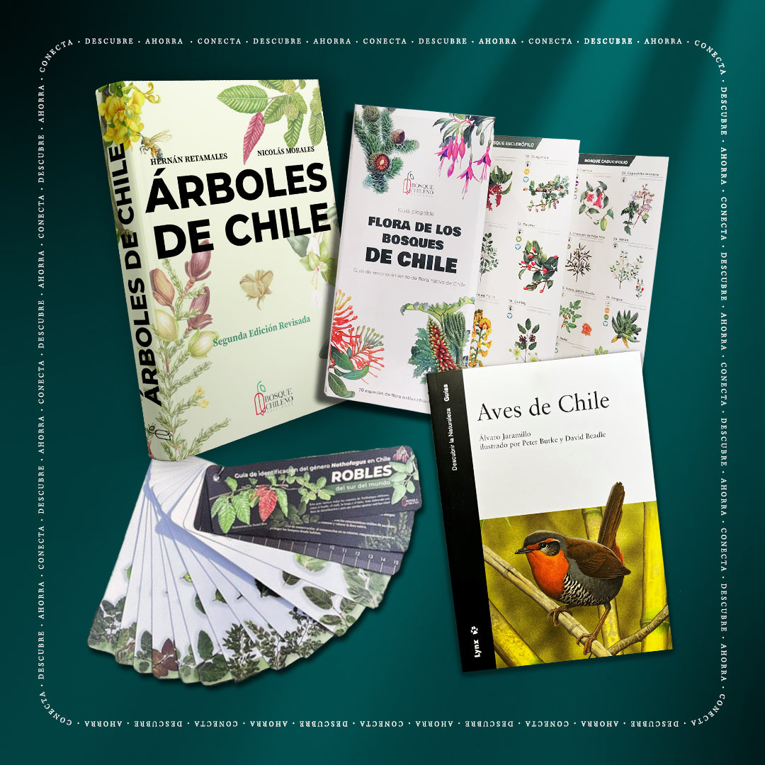 Pack Navidad Bosque 2025