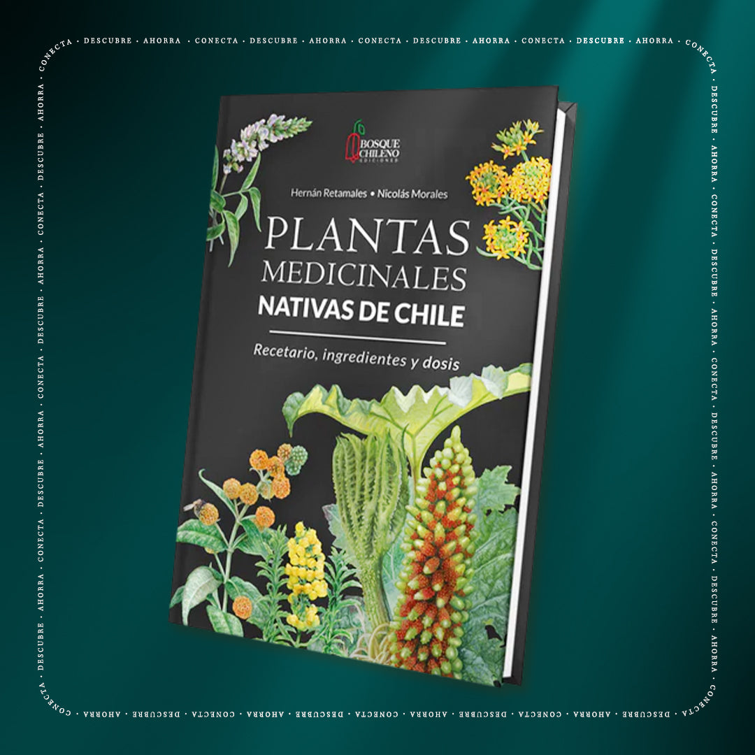 Plantas medicinales nativas de Chile