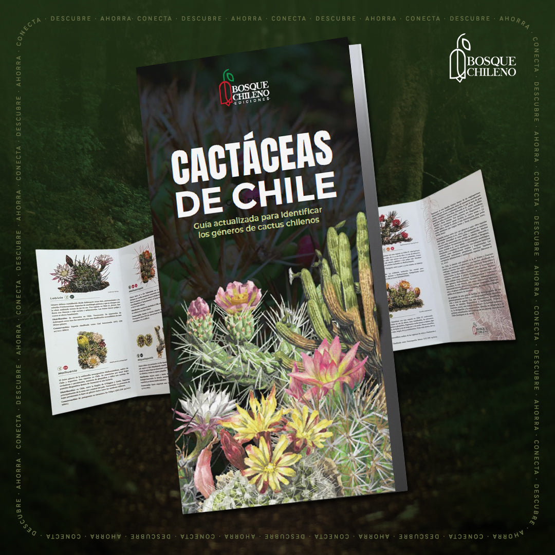 Guía de bolsillo - Cactáceas de Chile