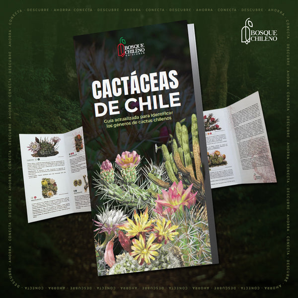 Guía de bolsillo Cactáceas de Chile