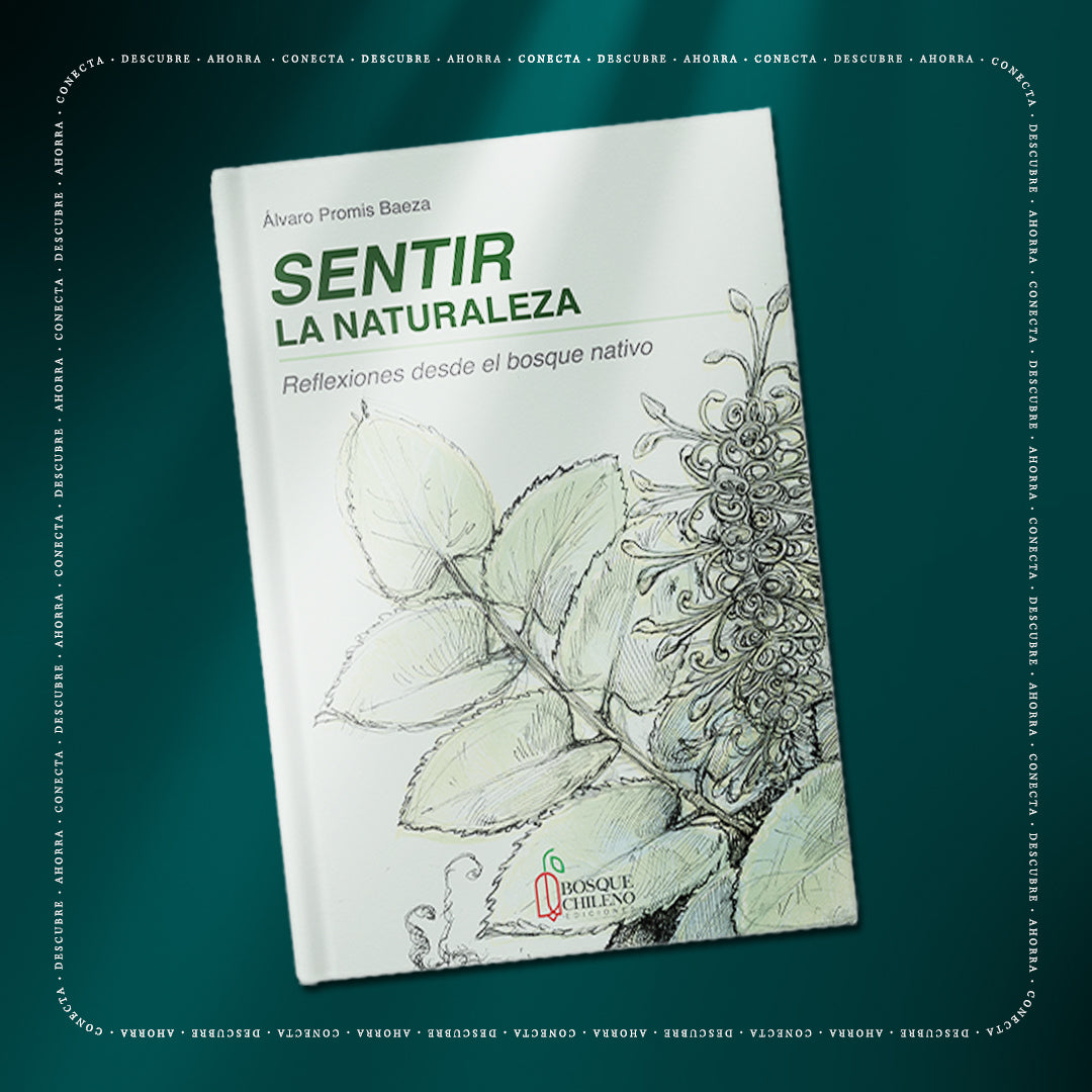 Sentir la Naturaleza: Reflexiones desde el bosque nativo