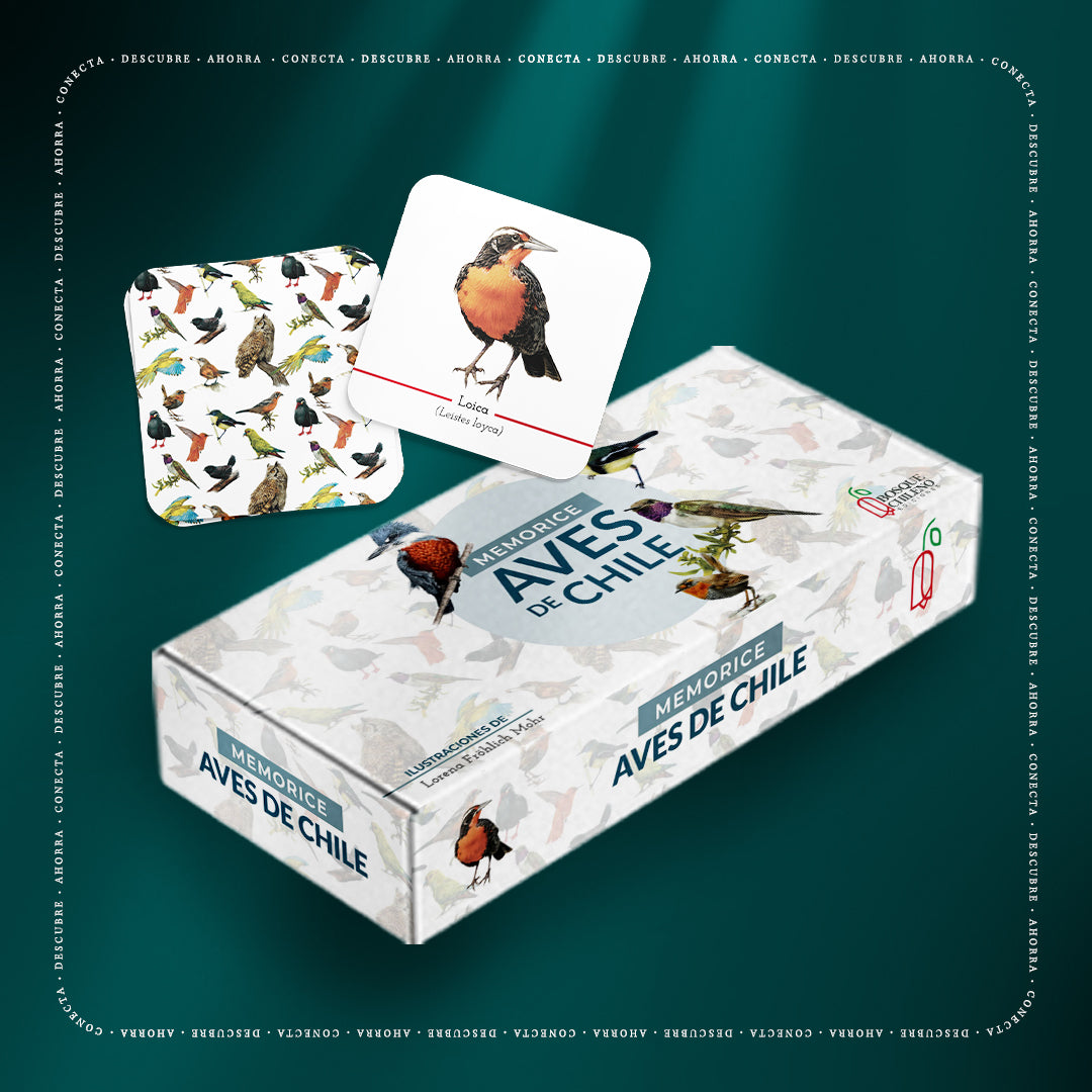 Memorice Aves de Chile