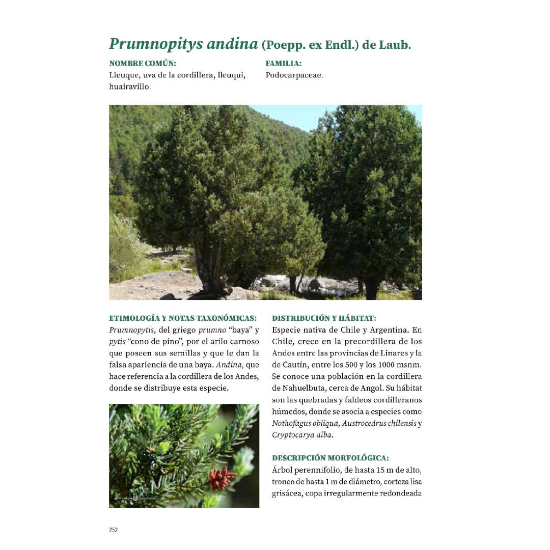 Árboles de Chile - Segunda edición (Tapa dura)