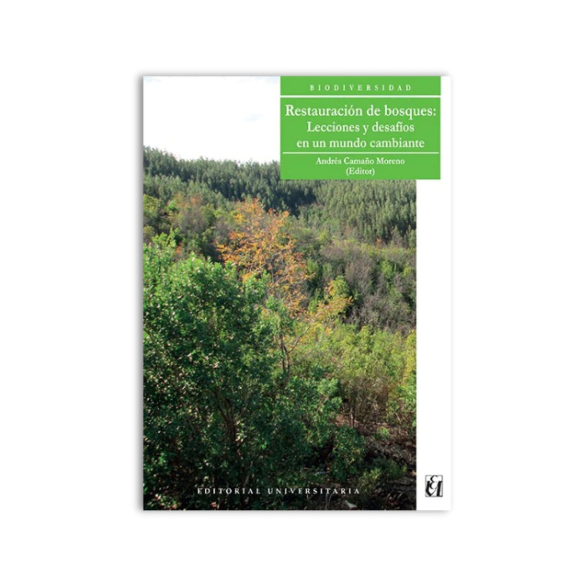Restauración de bosques