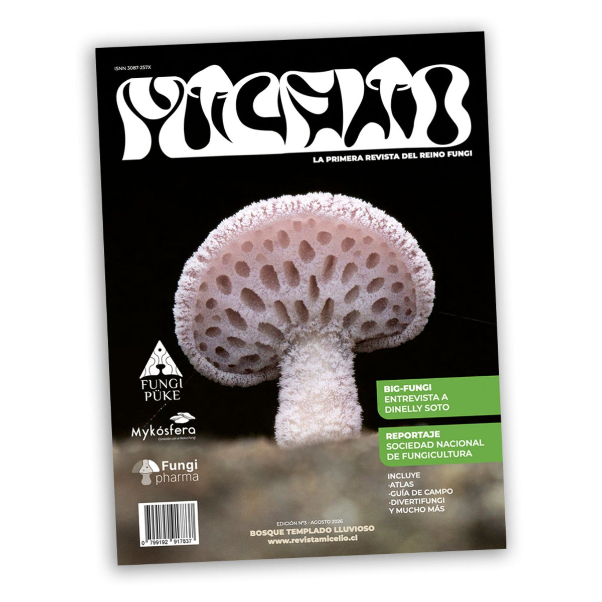 Revista Micelio - Tercera edición