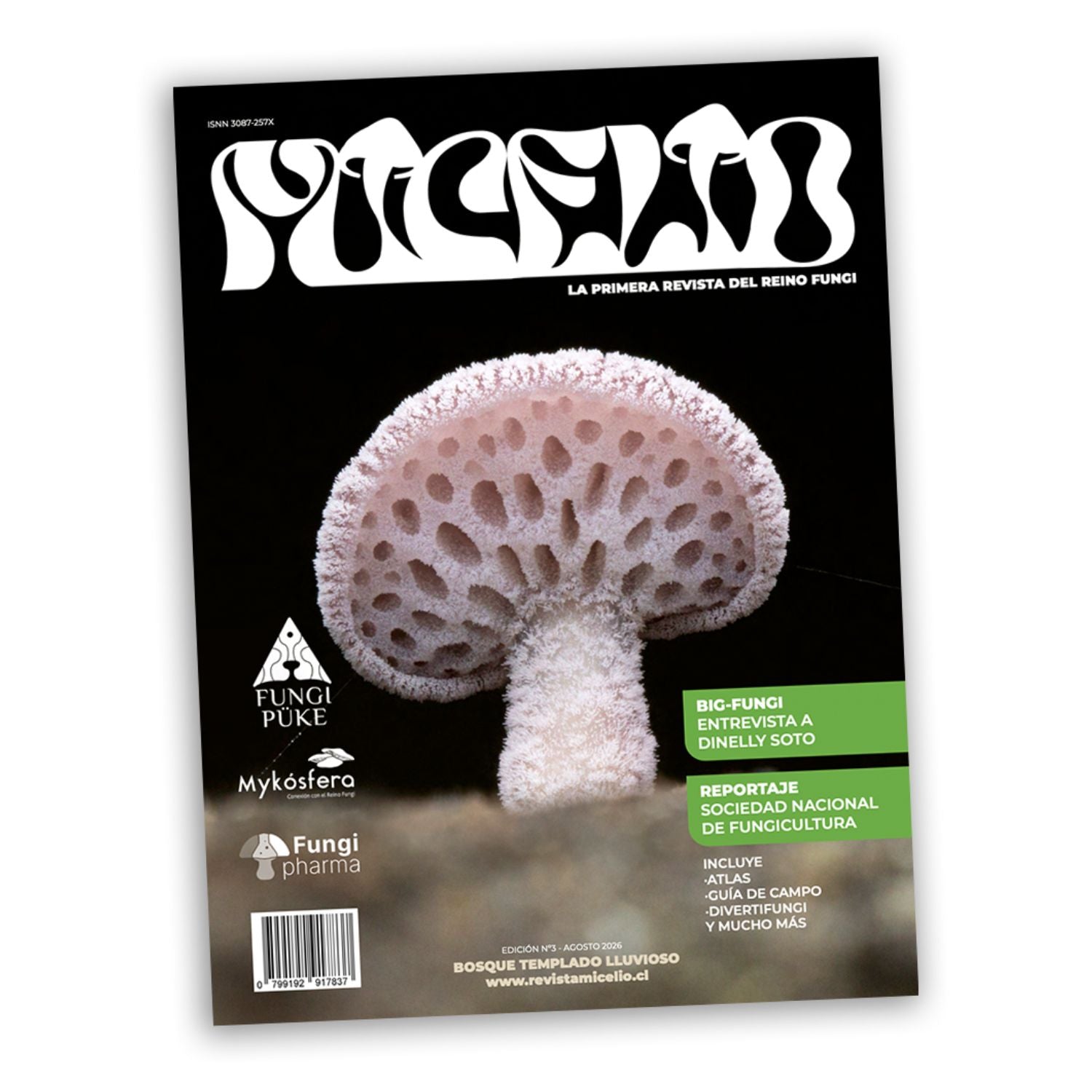 Revista Micelio - Tercera edición