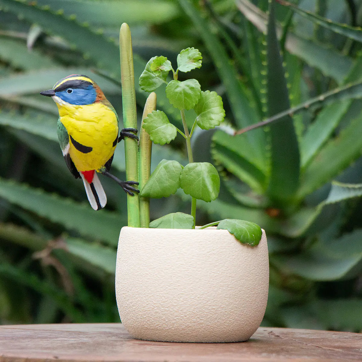 Macetero Fauna Chilena 3D