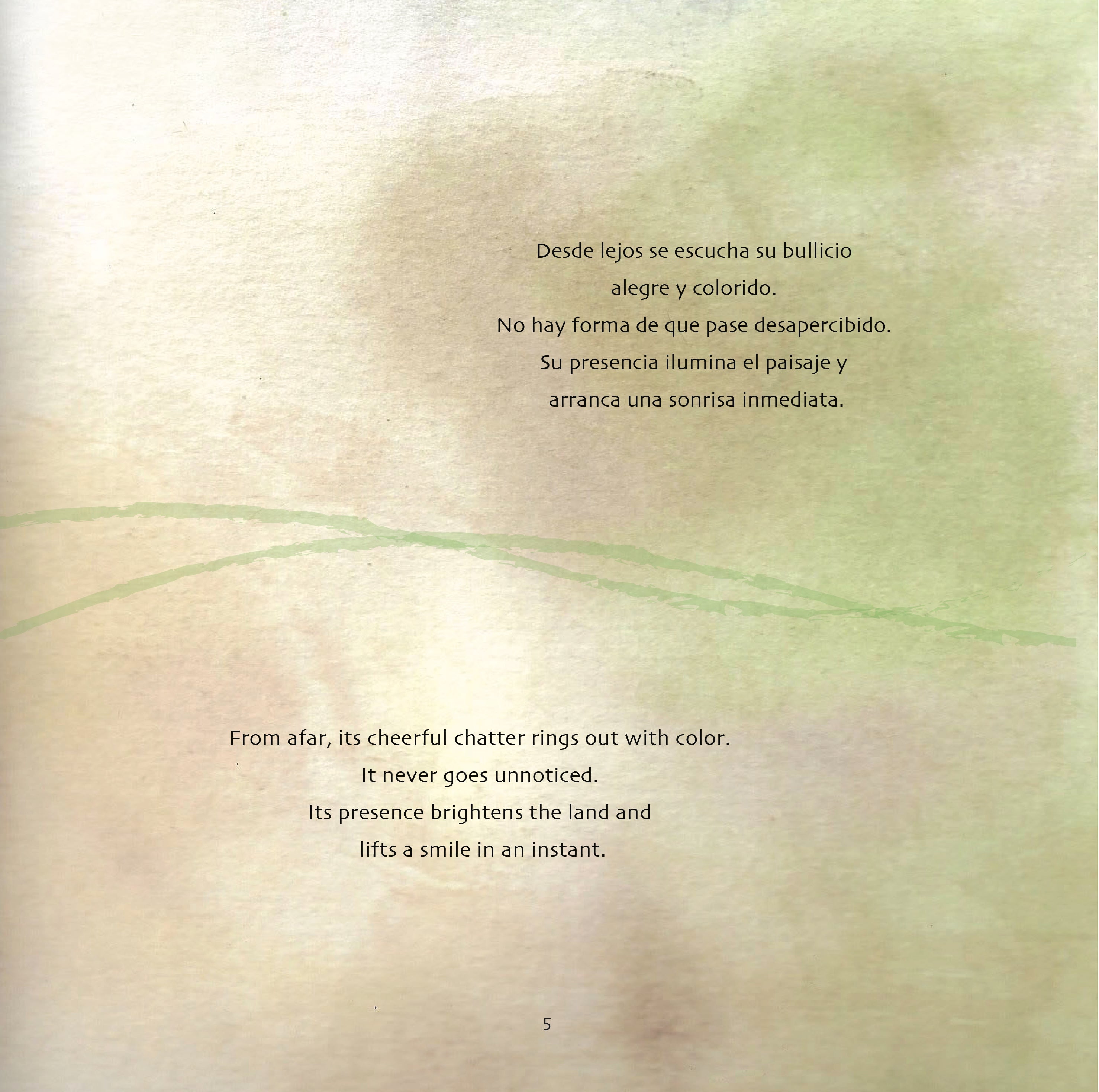 Fauna Chilena - 15 acuarelas