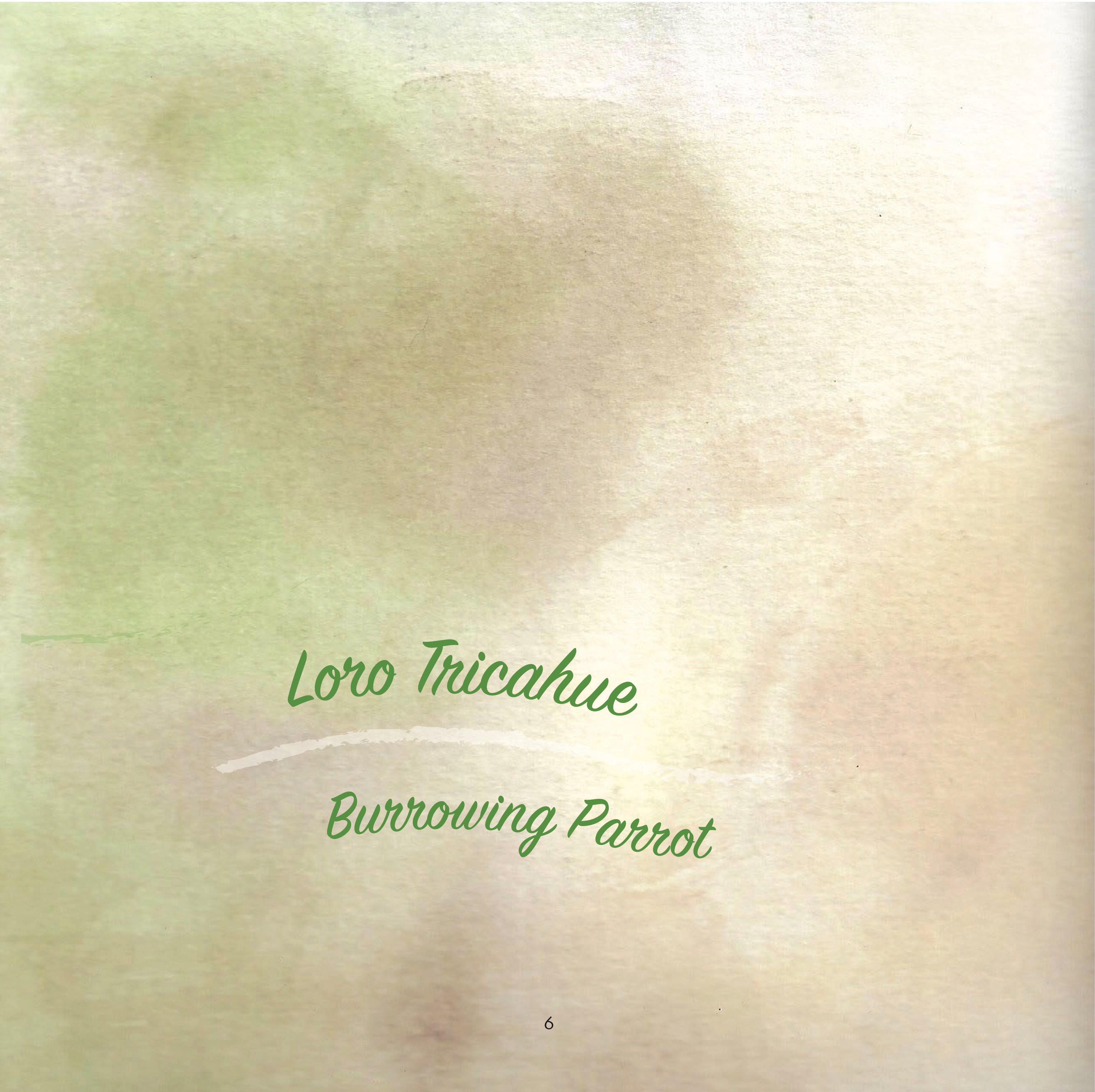 Fauna Chilena - 15 acuarelas