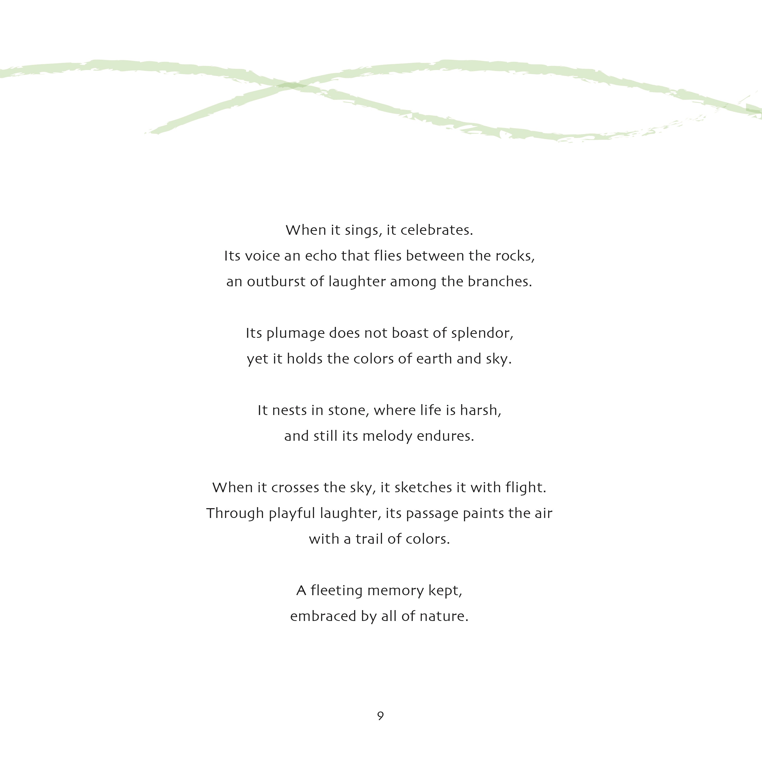 Fauna Chilena - 15 acuarelas