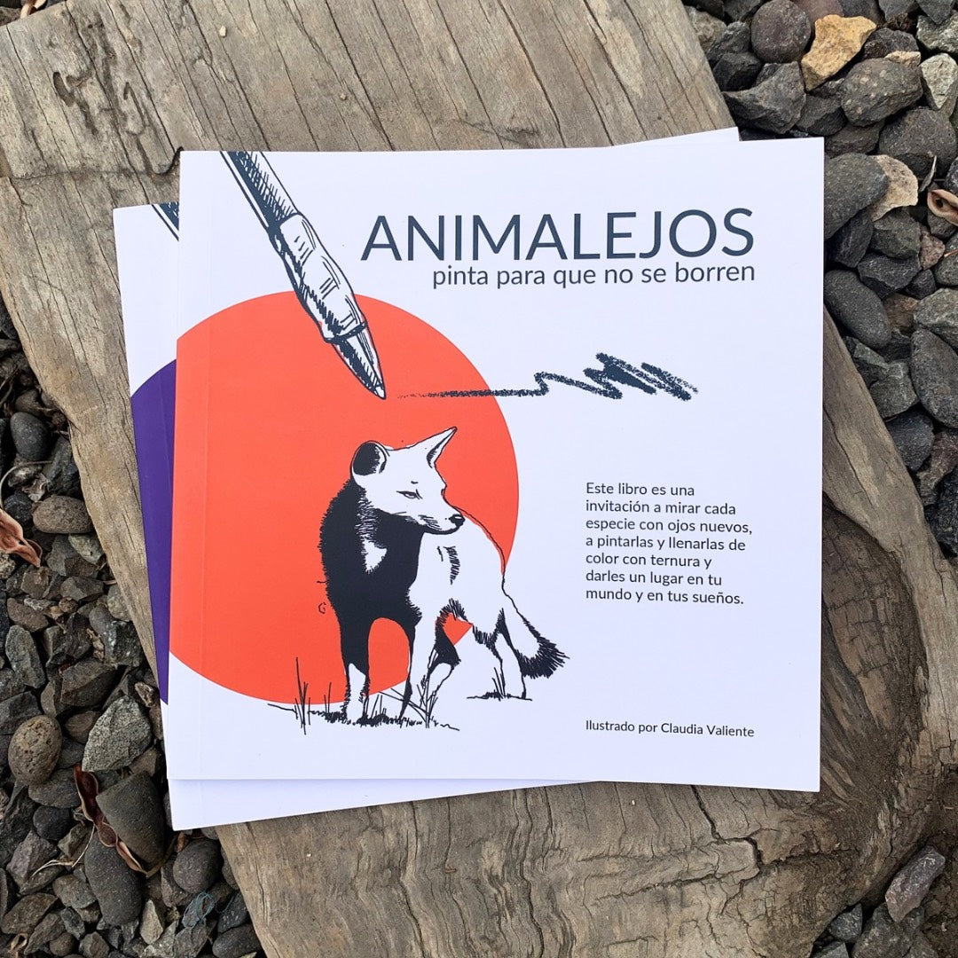 Animalejos - Libro para colorear