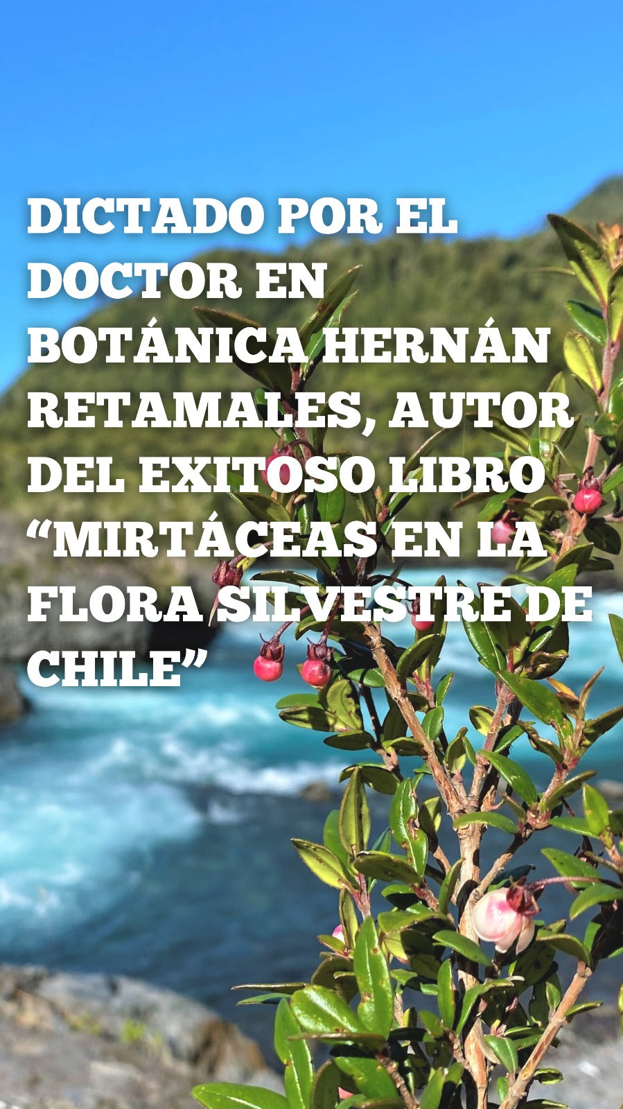 Curso digital: Mirtáceas en la flora de Chile
