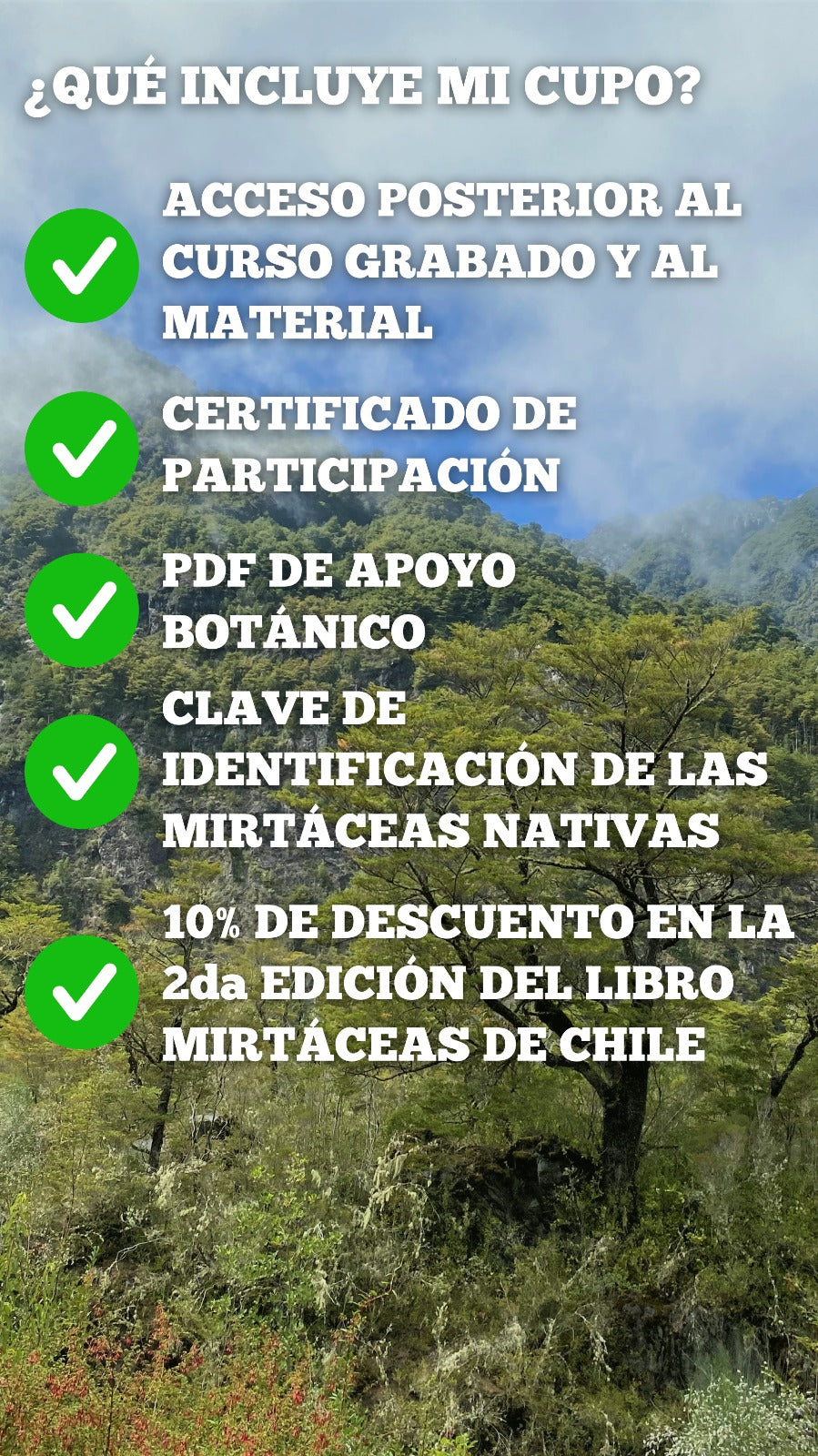 Curso online: Mirtáceas en la flora de Chile
