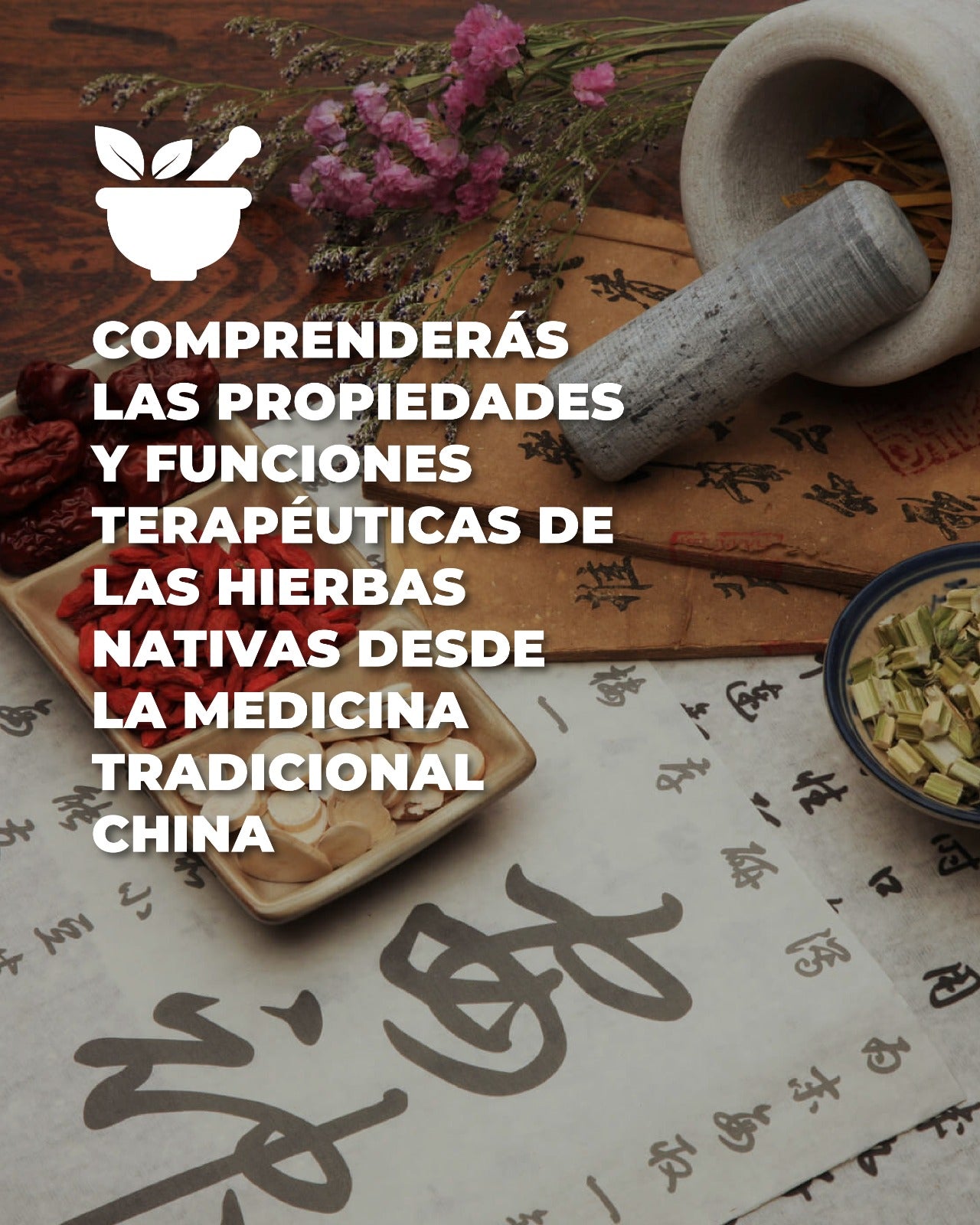 Curso online: Fitoterapia tradicional China con hierbas nativas