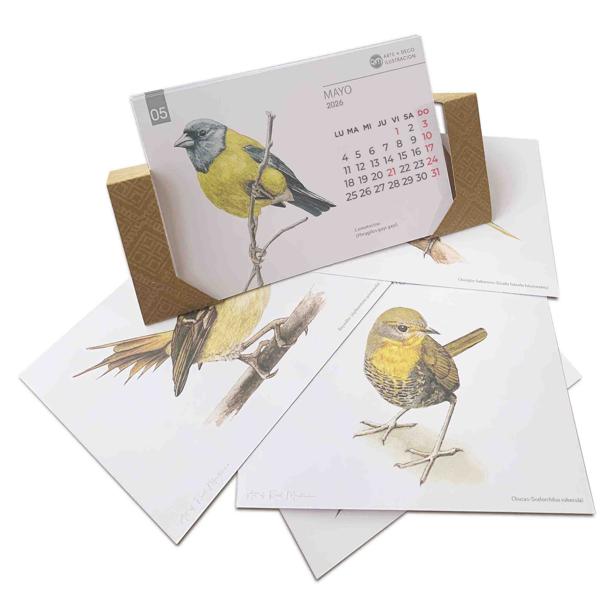 Calendario de escritorio 2026 - Aves de Chile